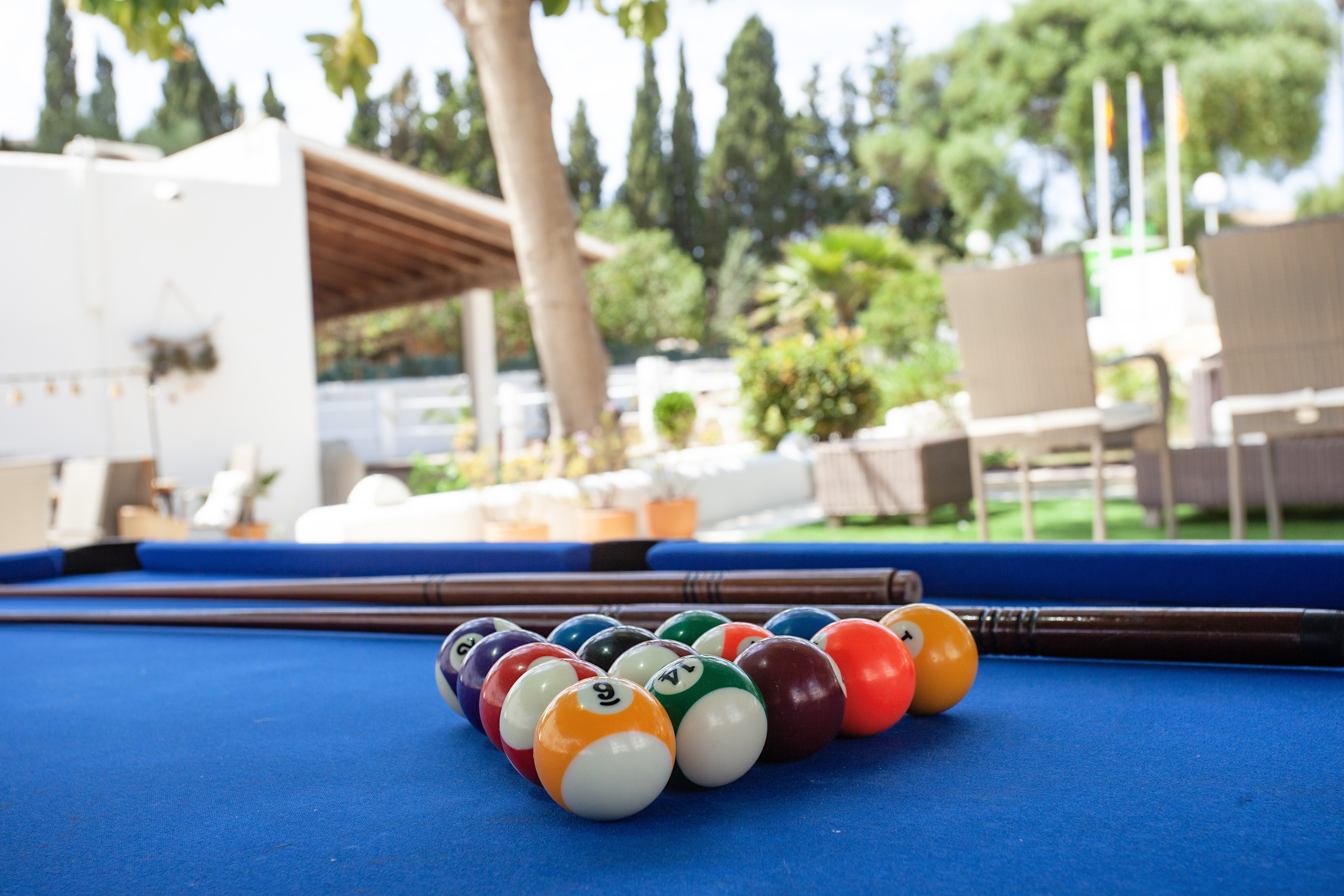 Sports and Entertainment