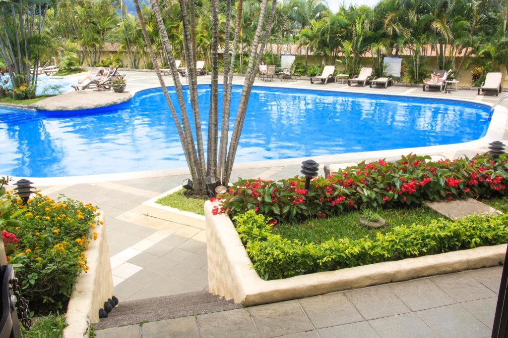 Room Premium King Bed