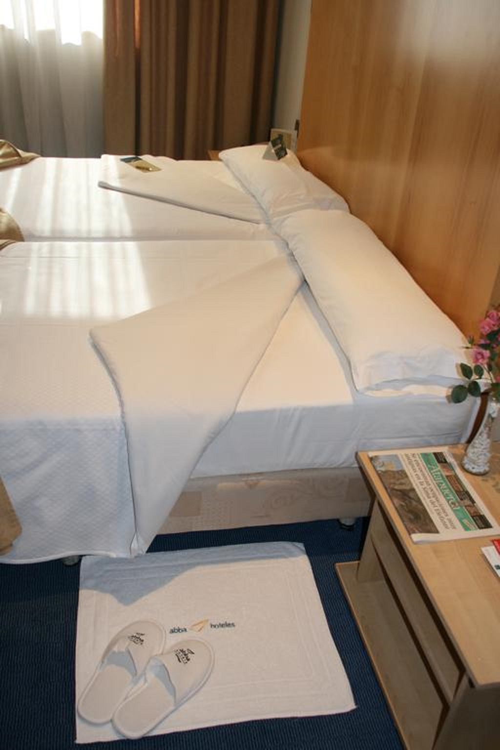 Double or Twin Standard