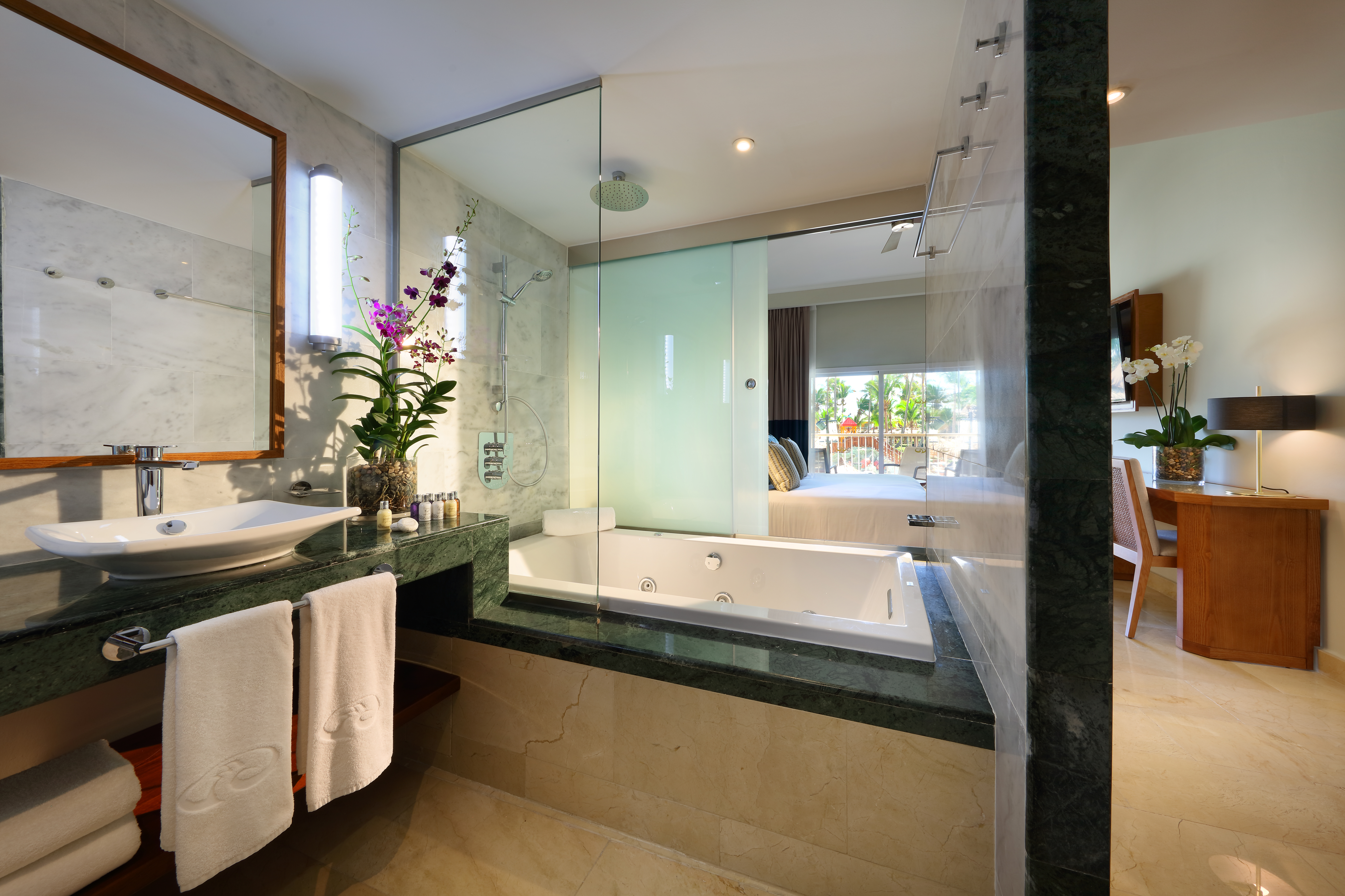 Double Deluxe Pool View