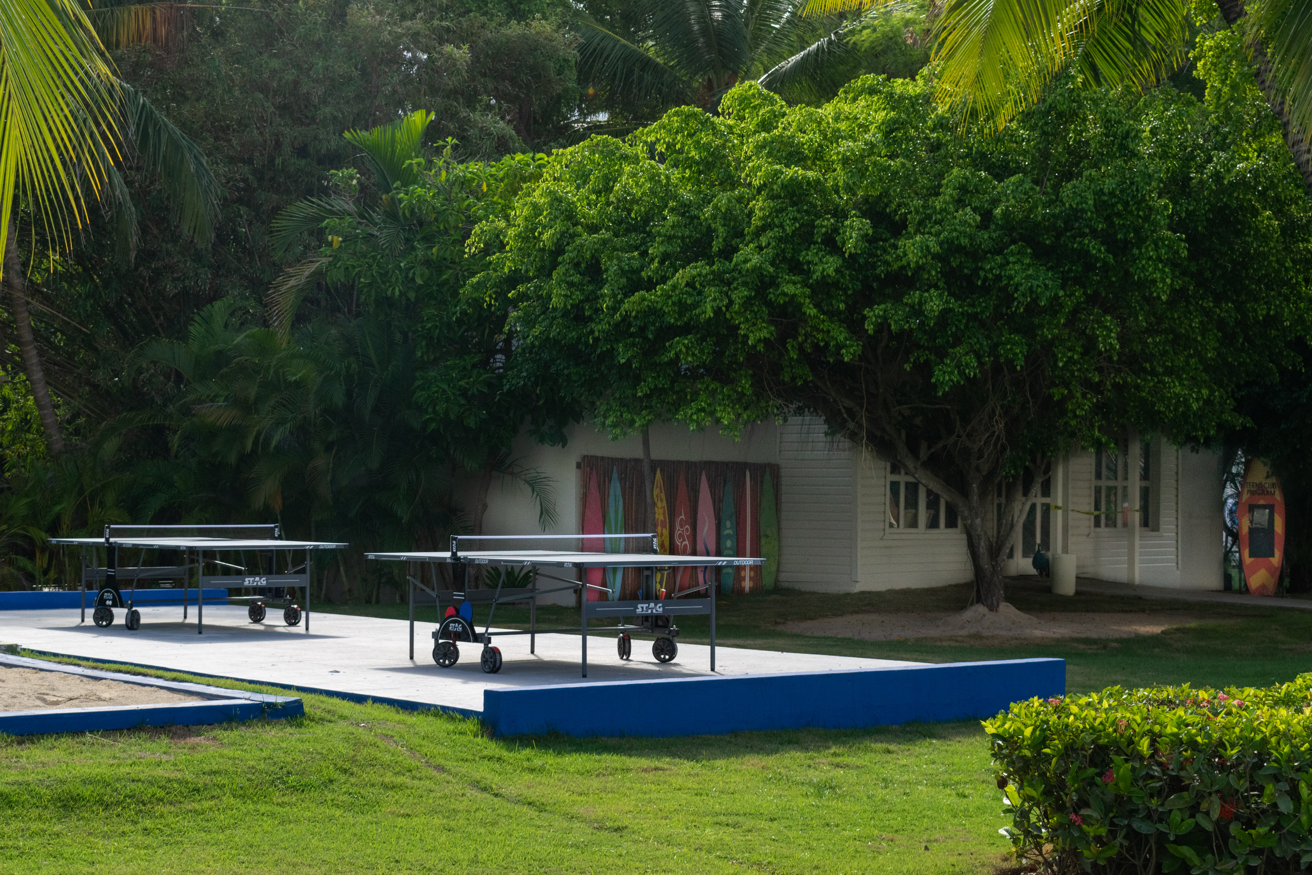 Sports and Entertainment