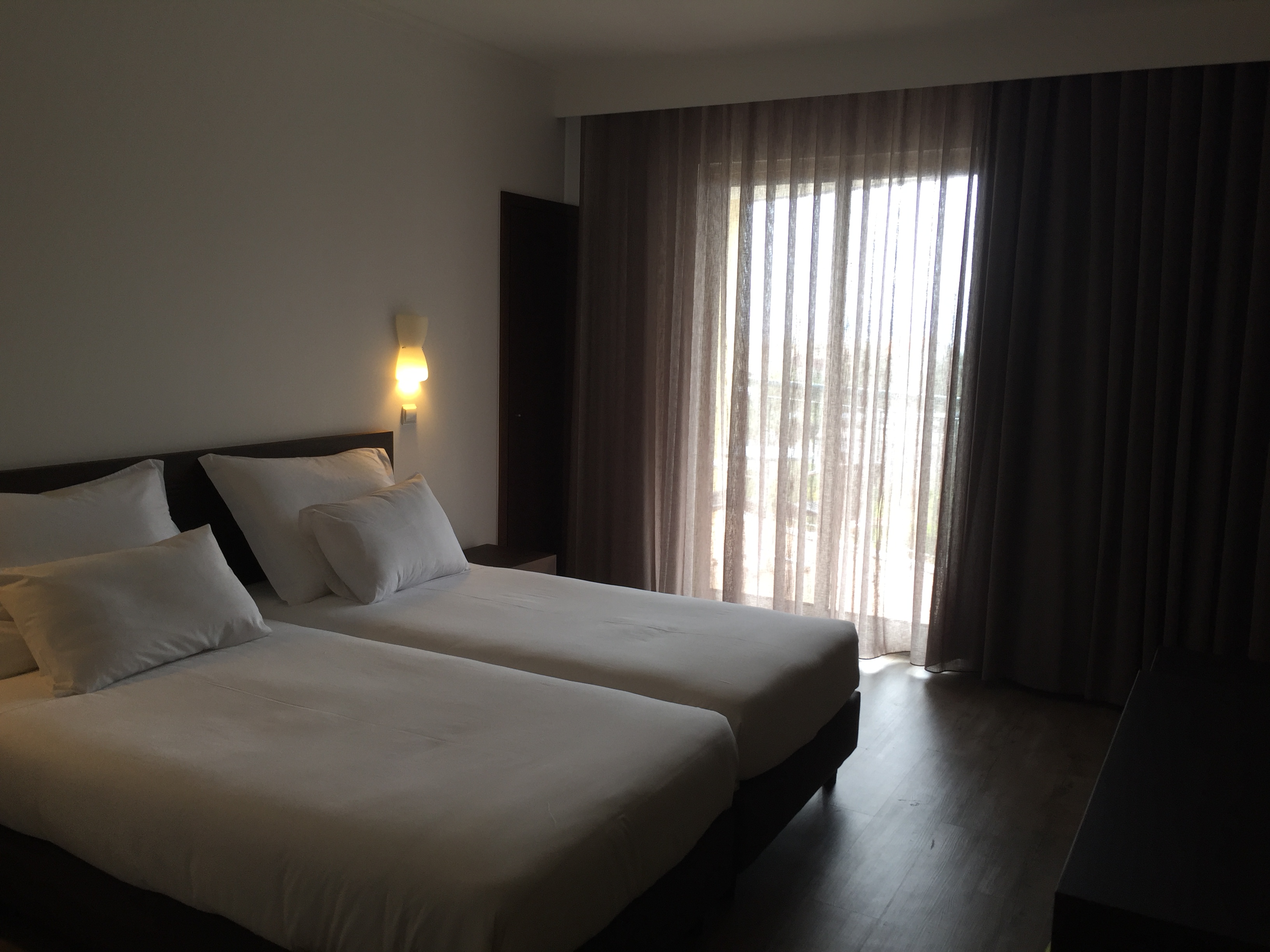 Double or Twin Mountain View