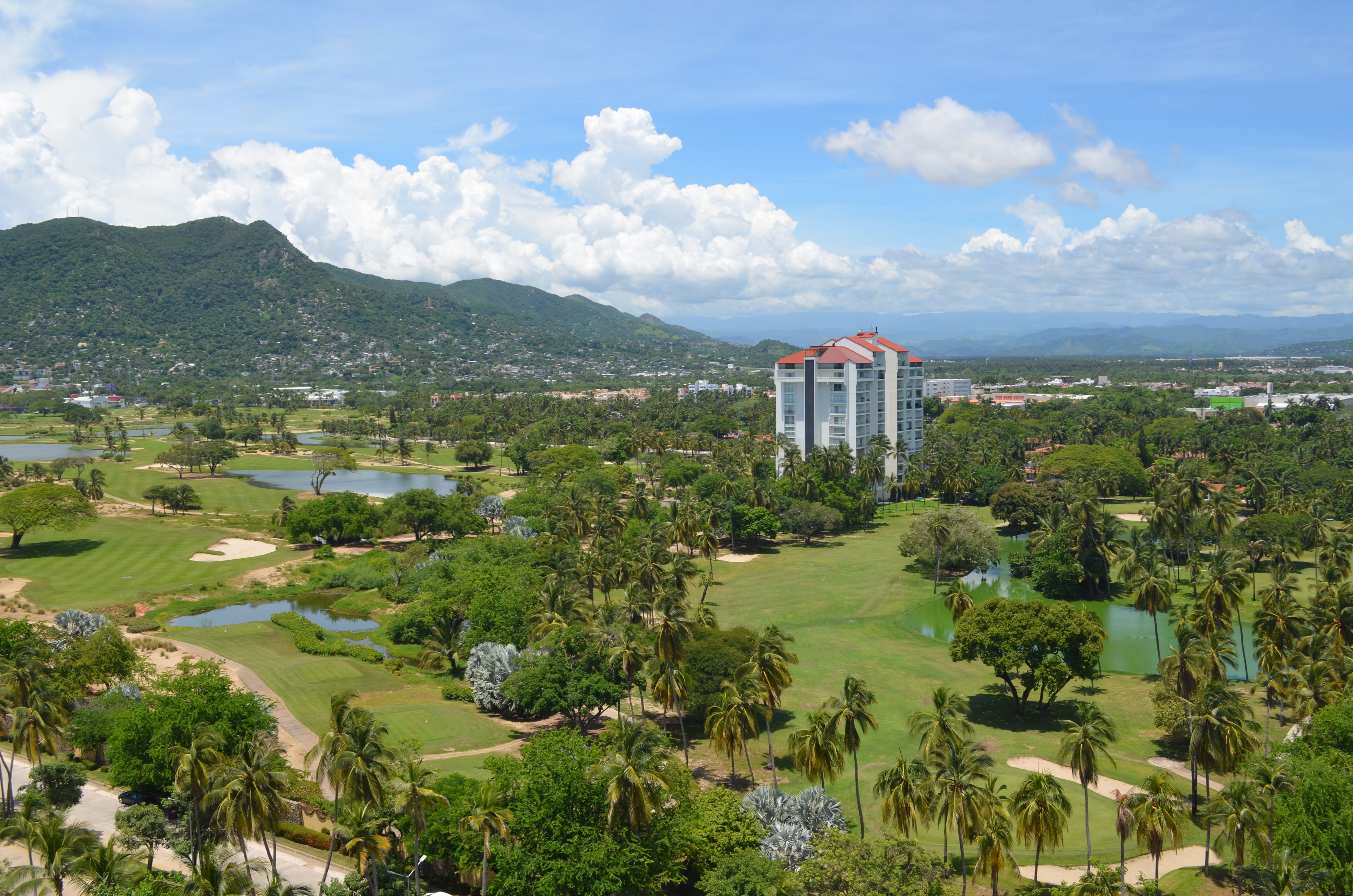 Junior Suite Garden View