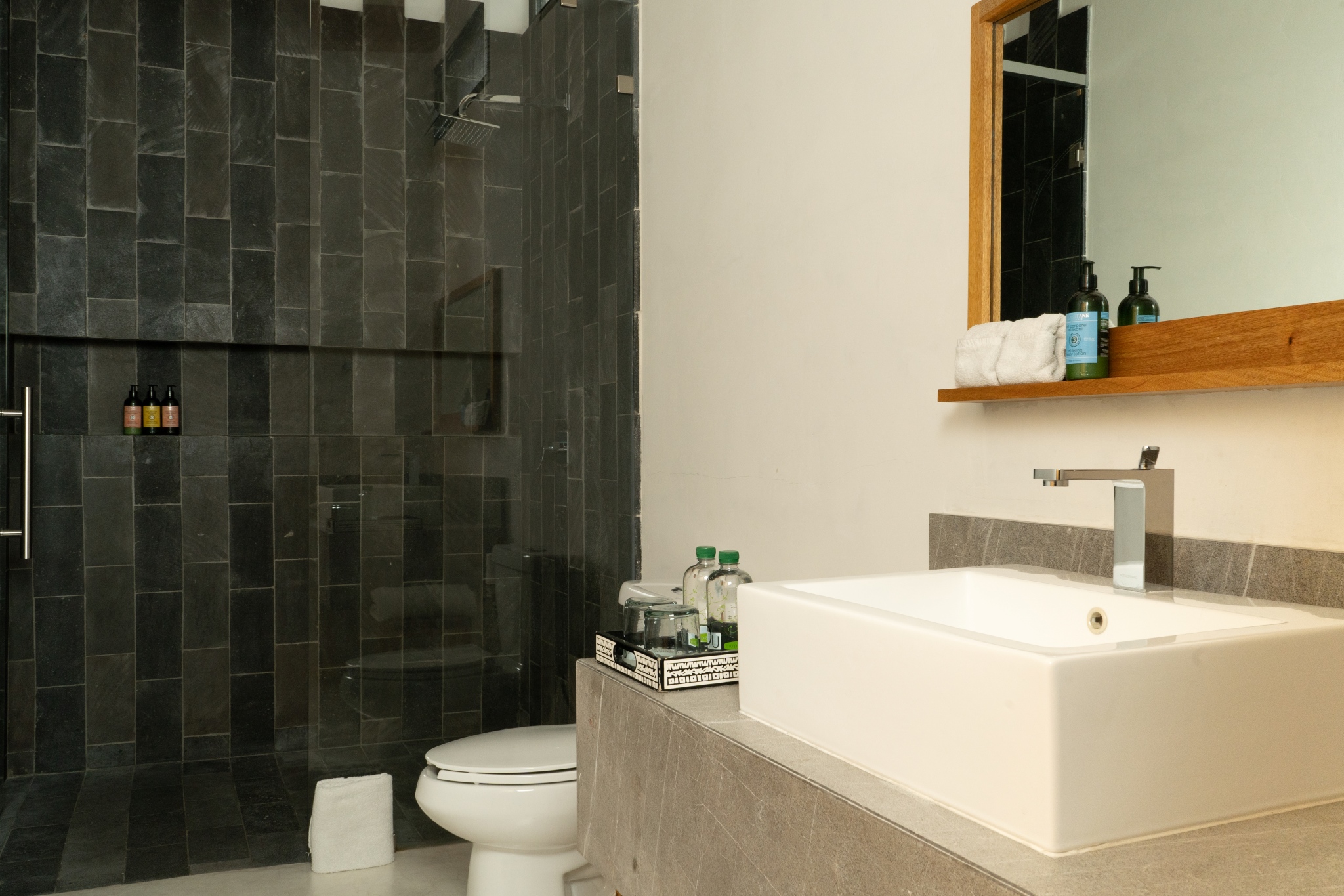 Suite One Bedroom with Terrace