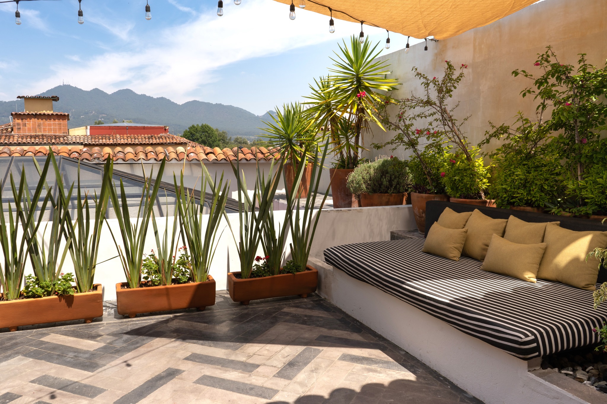 Suite One Bedroom with Terrace