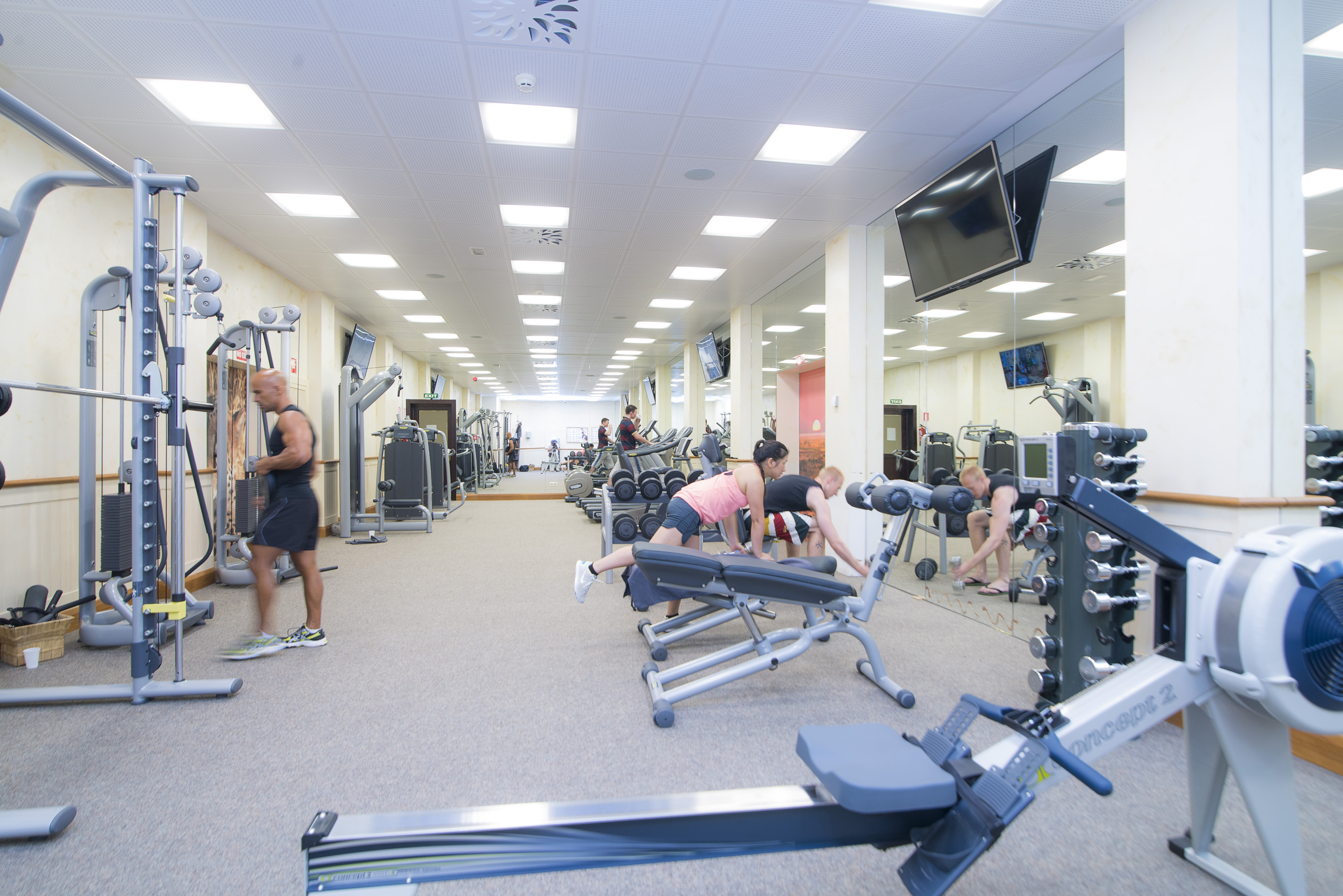 Sports and Entertainment