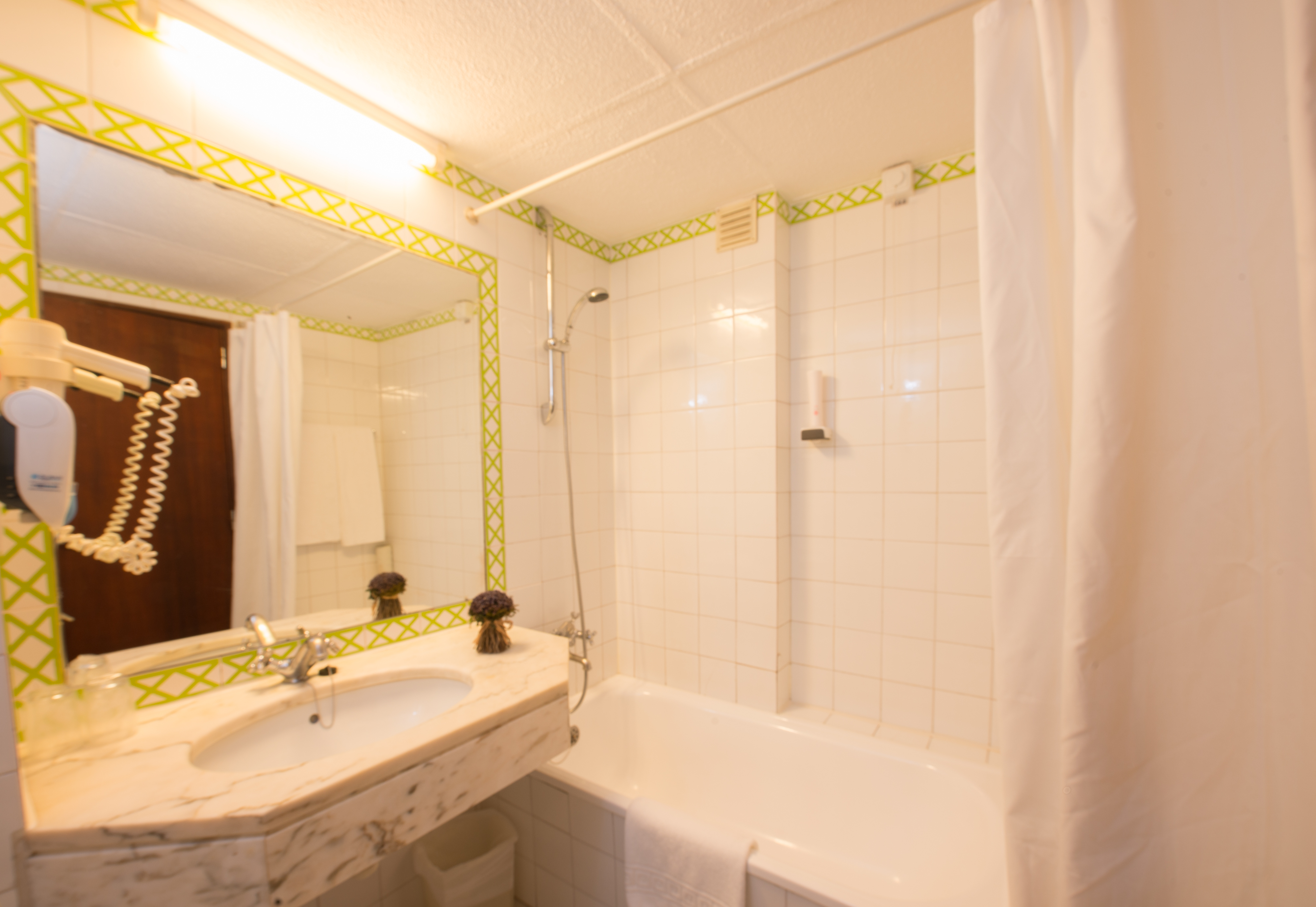 Double or Twin Economy