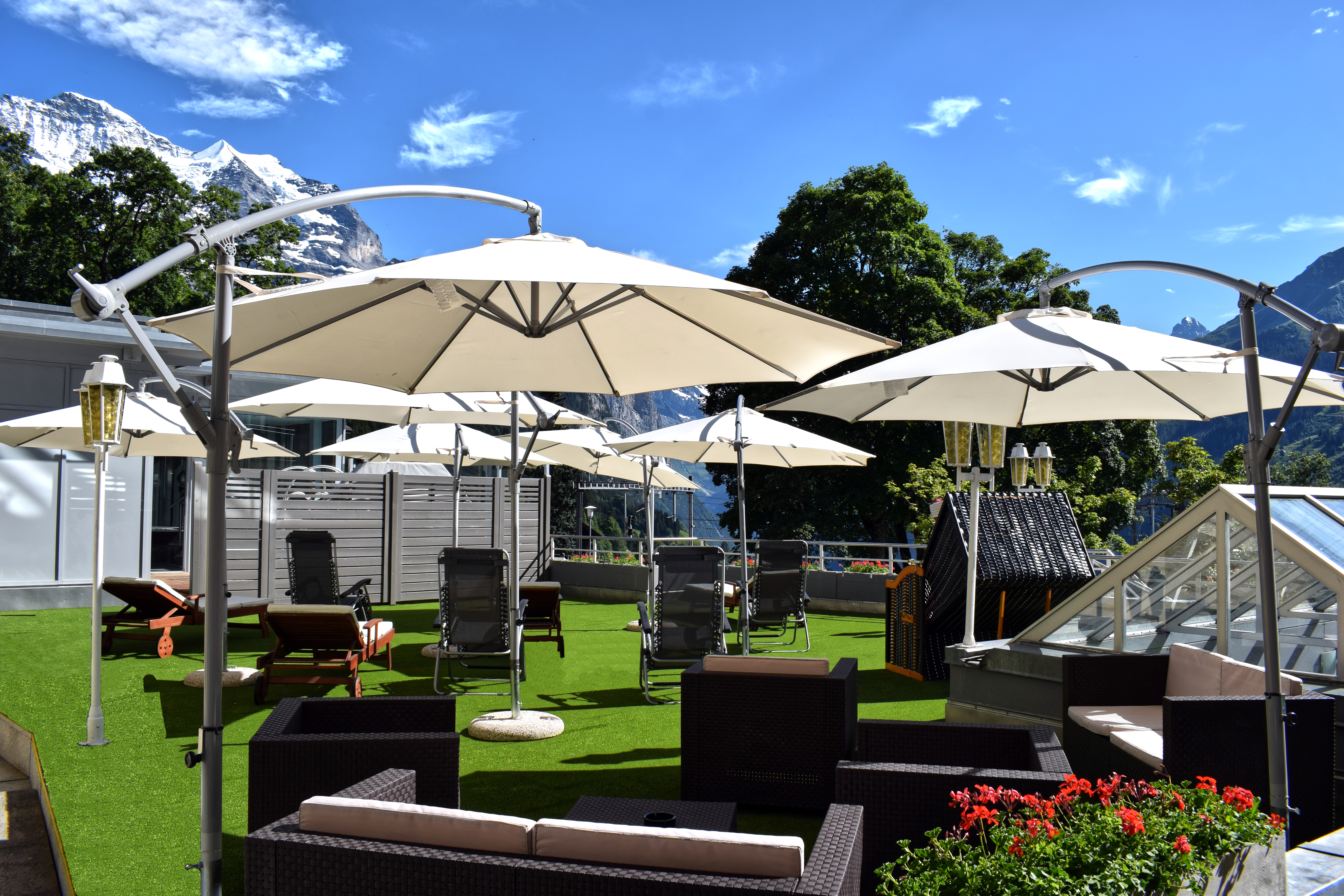 Sports and Entertainment