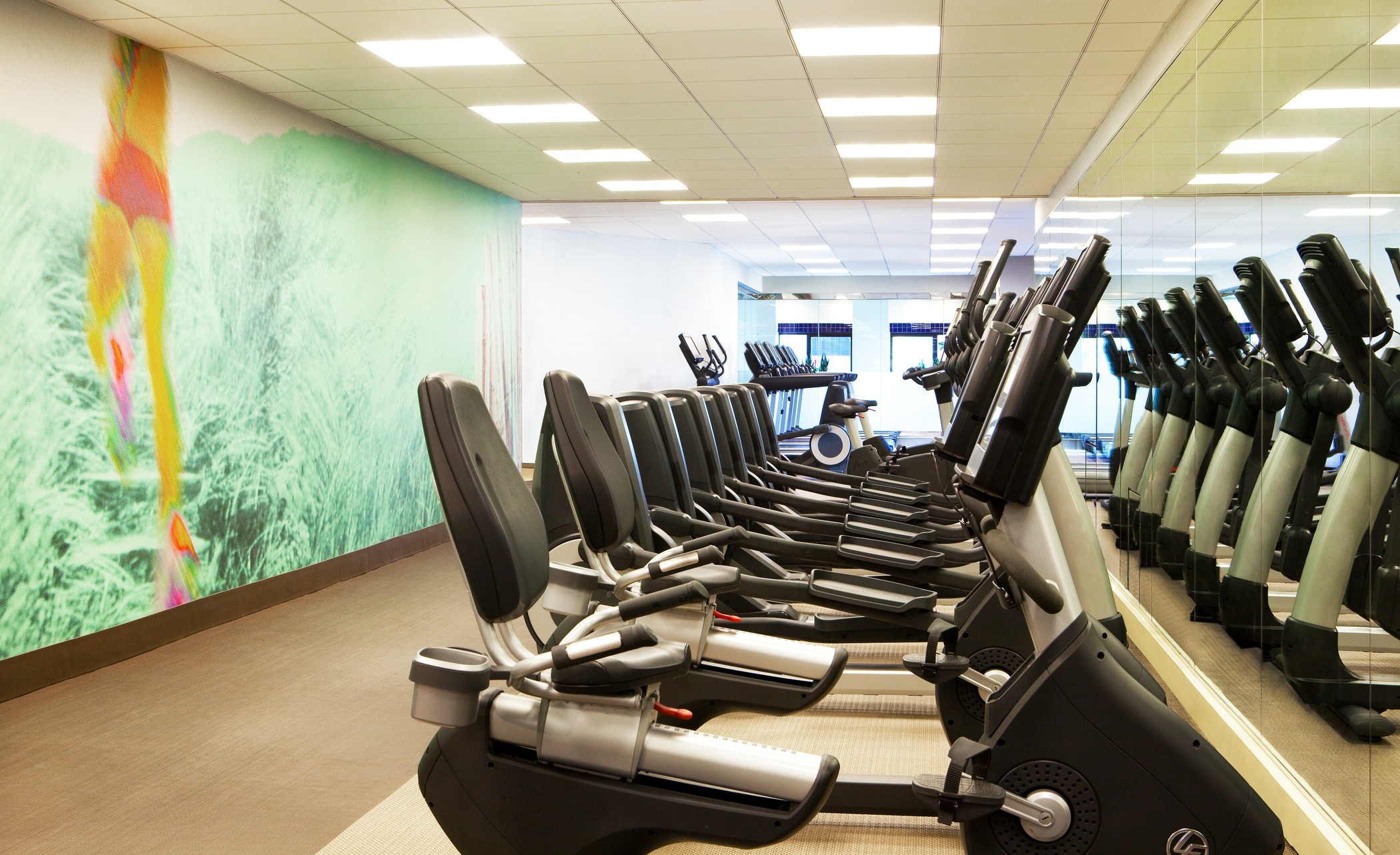 Sports and Entertainment