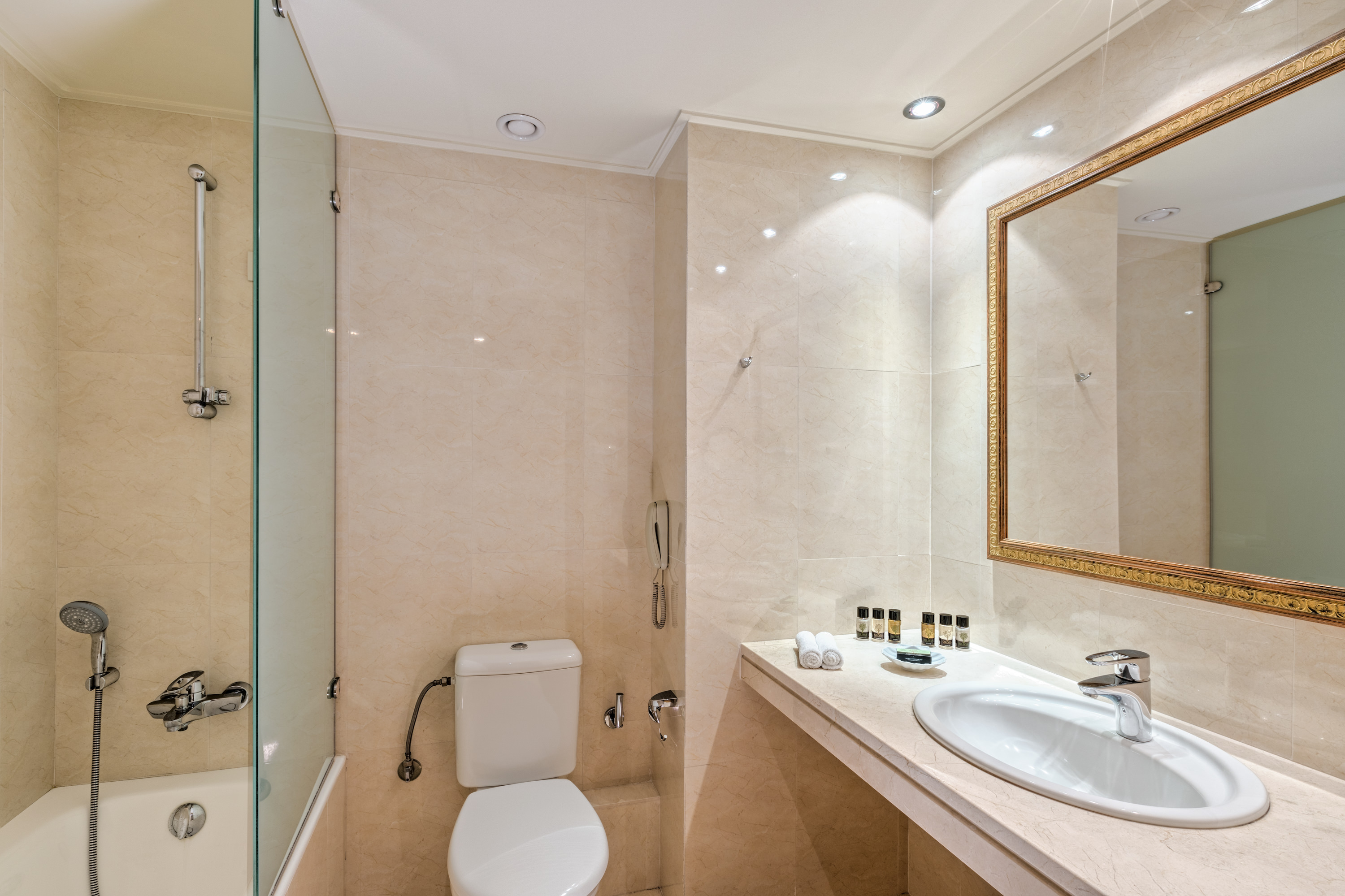 Double or Twin Executive Mountain View