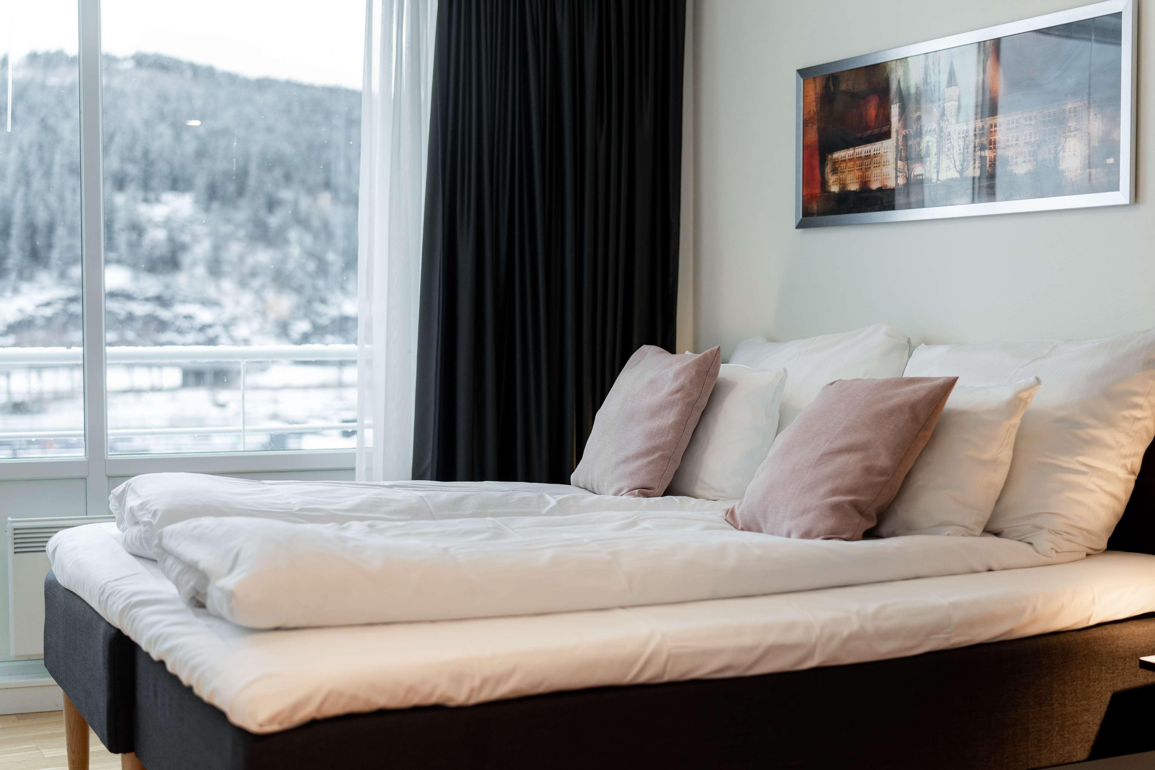 Junior Suite Standard