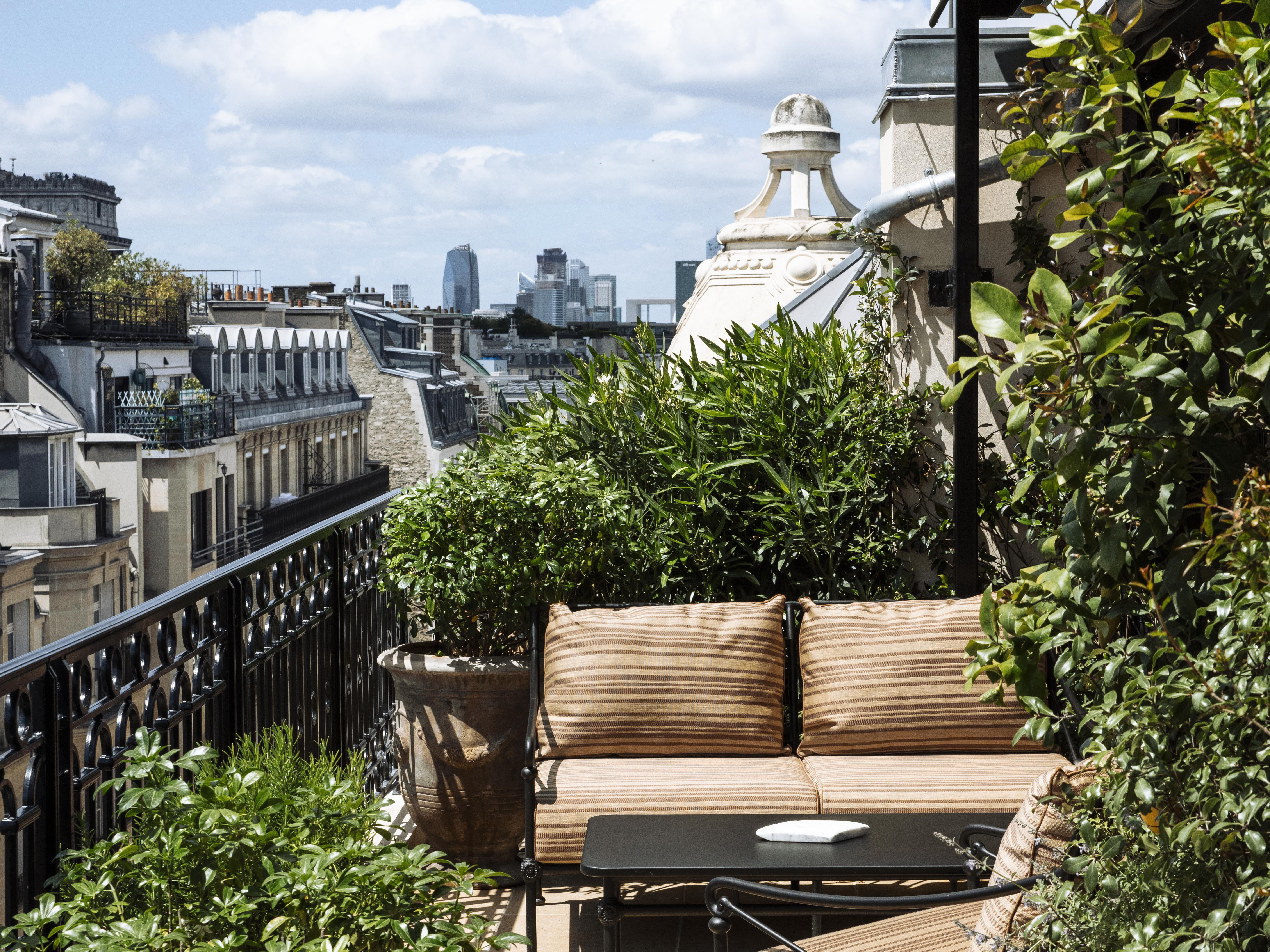 Suite Deluxe