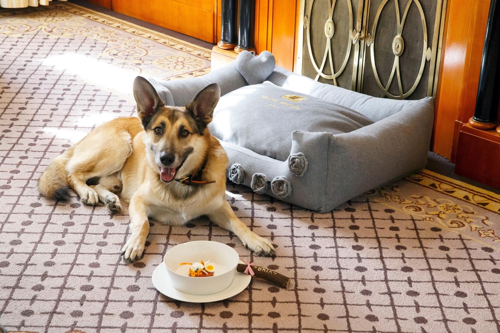 Double Executive City View