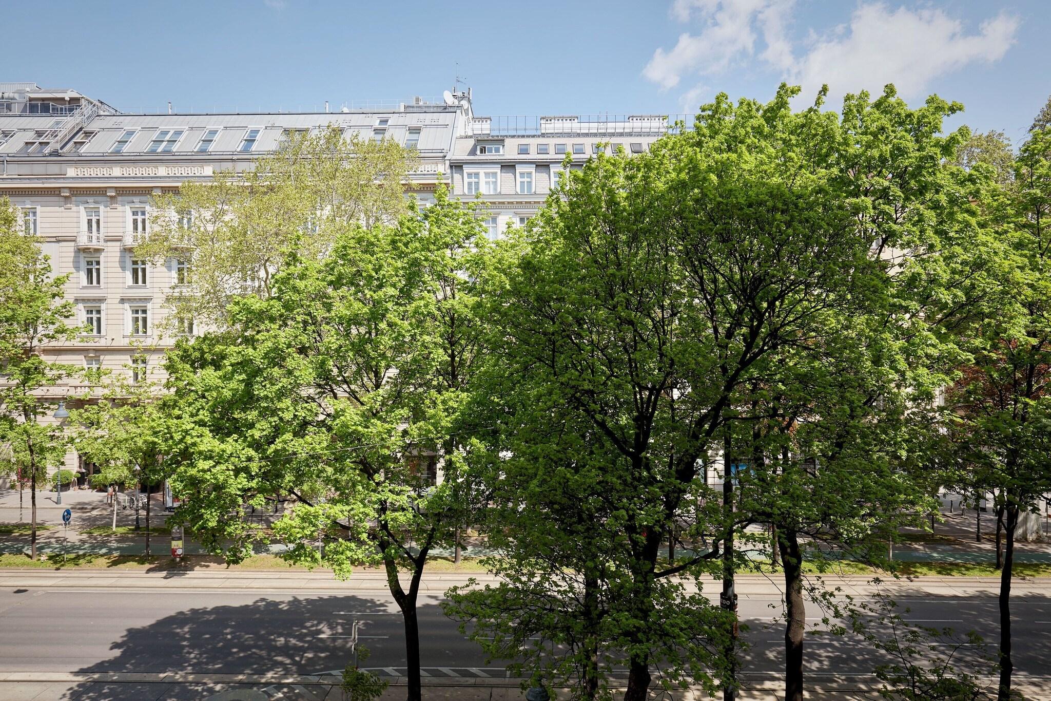 Junior Suite City View King Bed