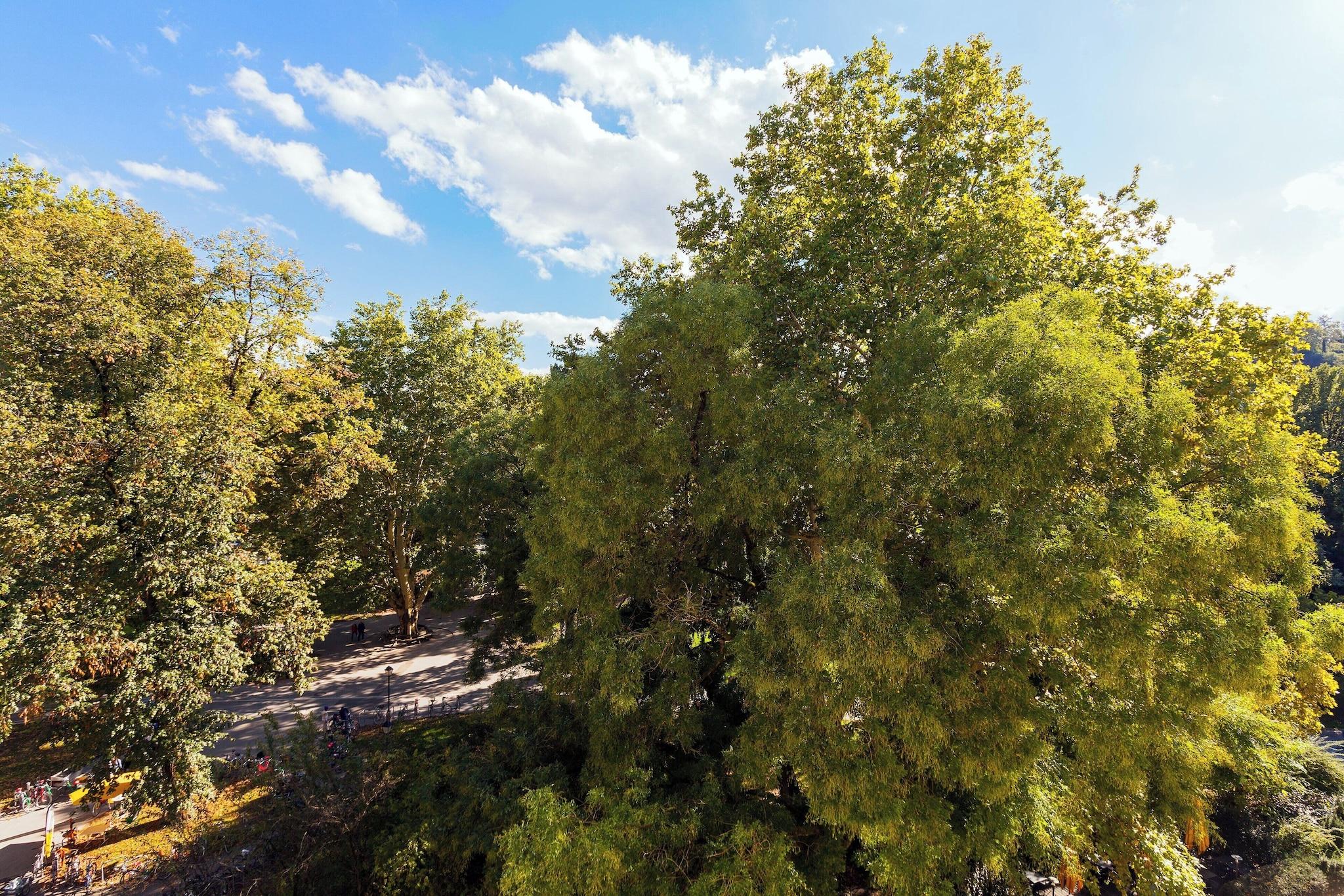 Double Club King Bed