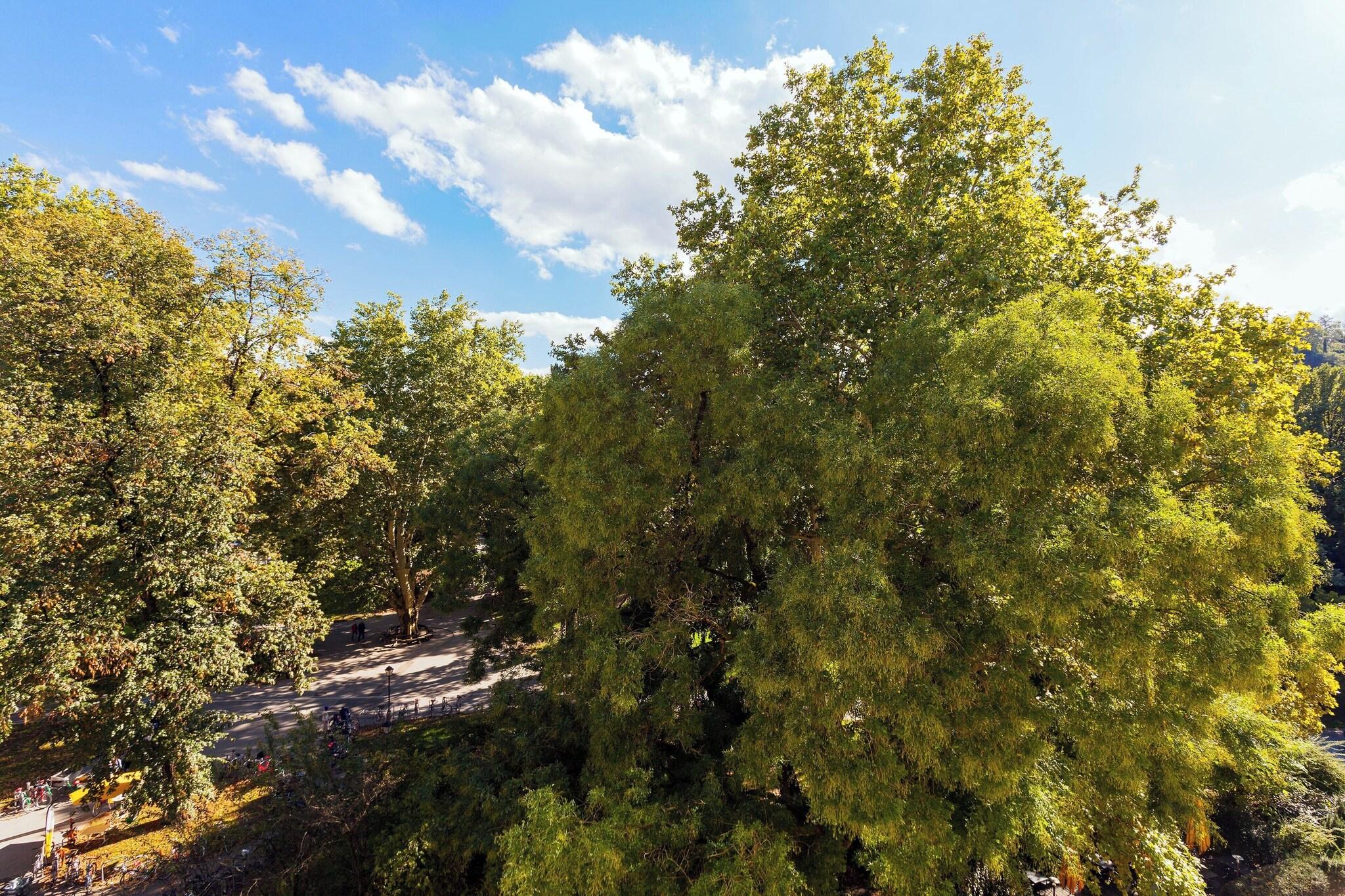 Double Deluxe Park View