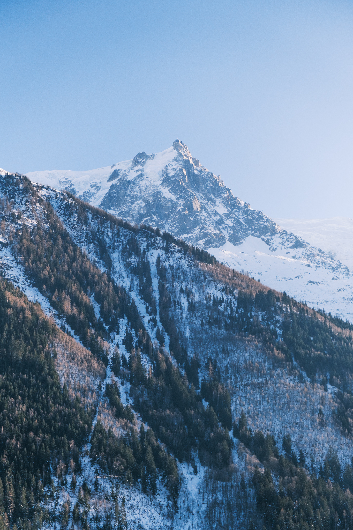 Family Room Superior