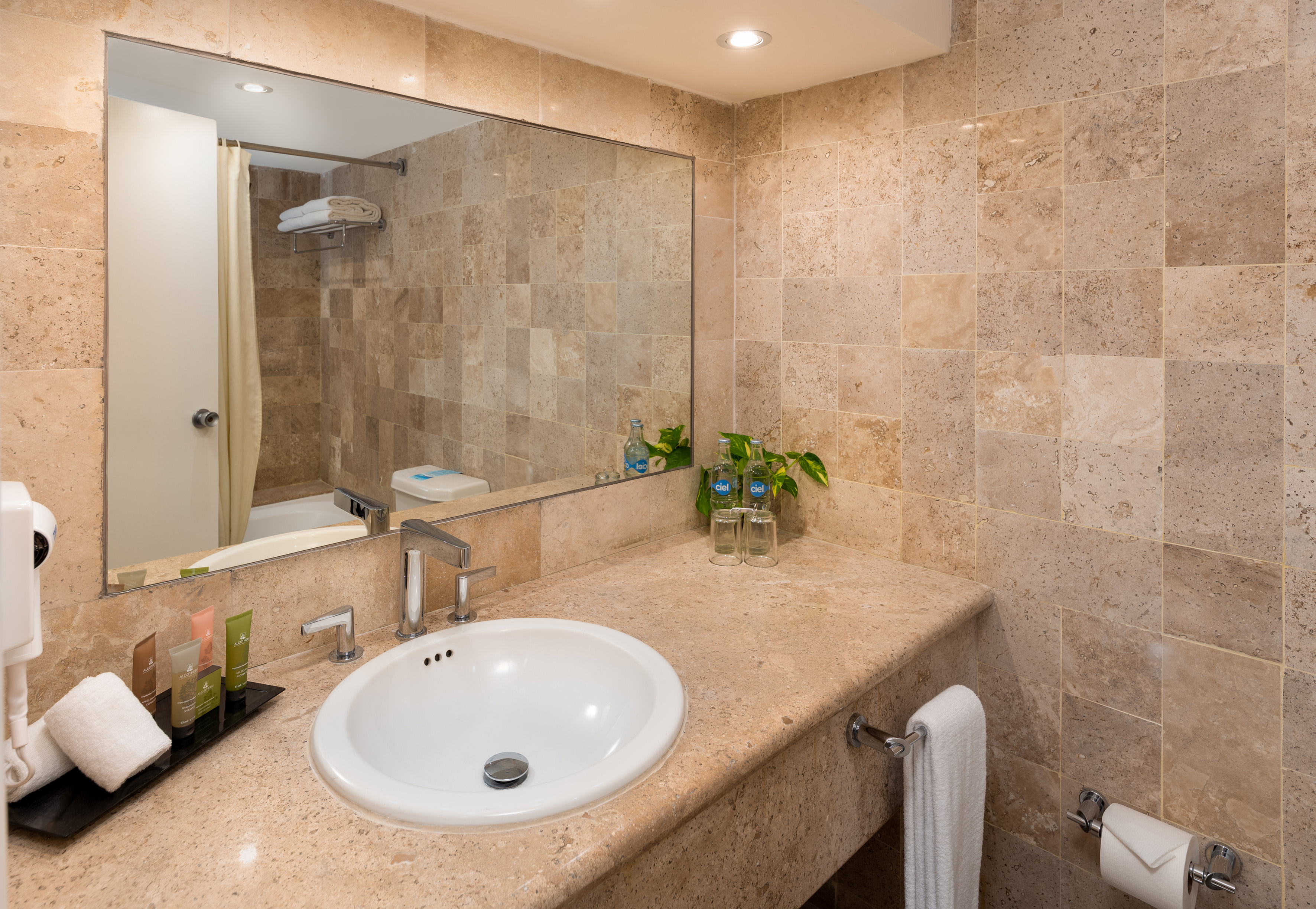 Room Premium King Bed