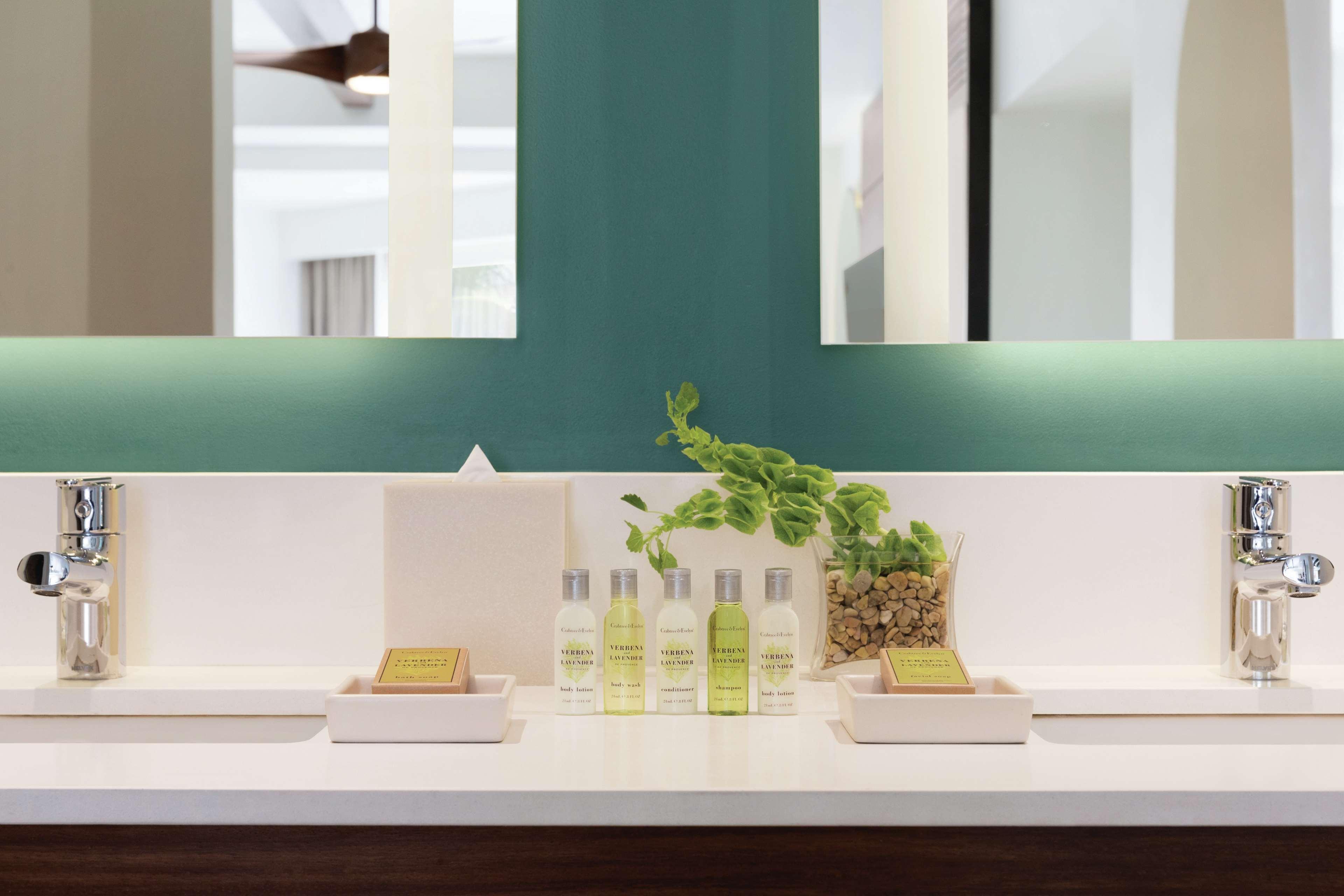 Suite King Bed One Bedroom 