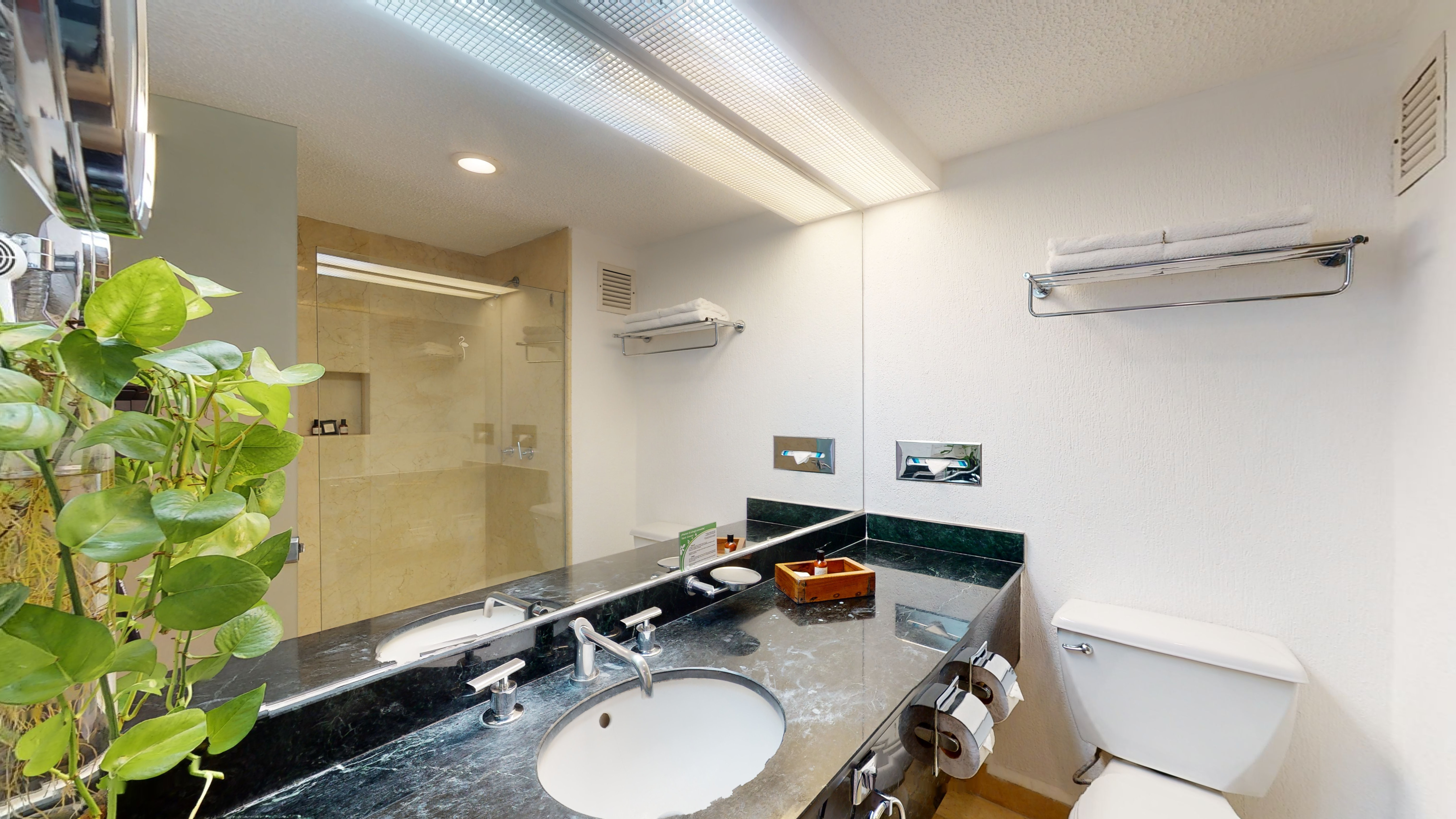 Double Deluxe Lagoon View