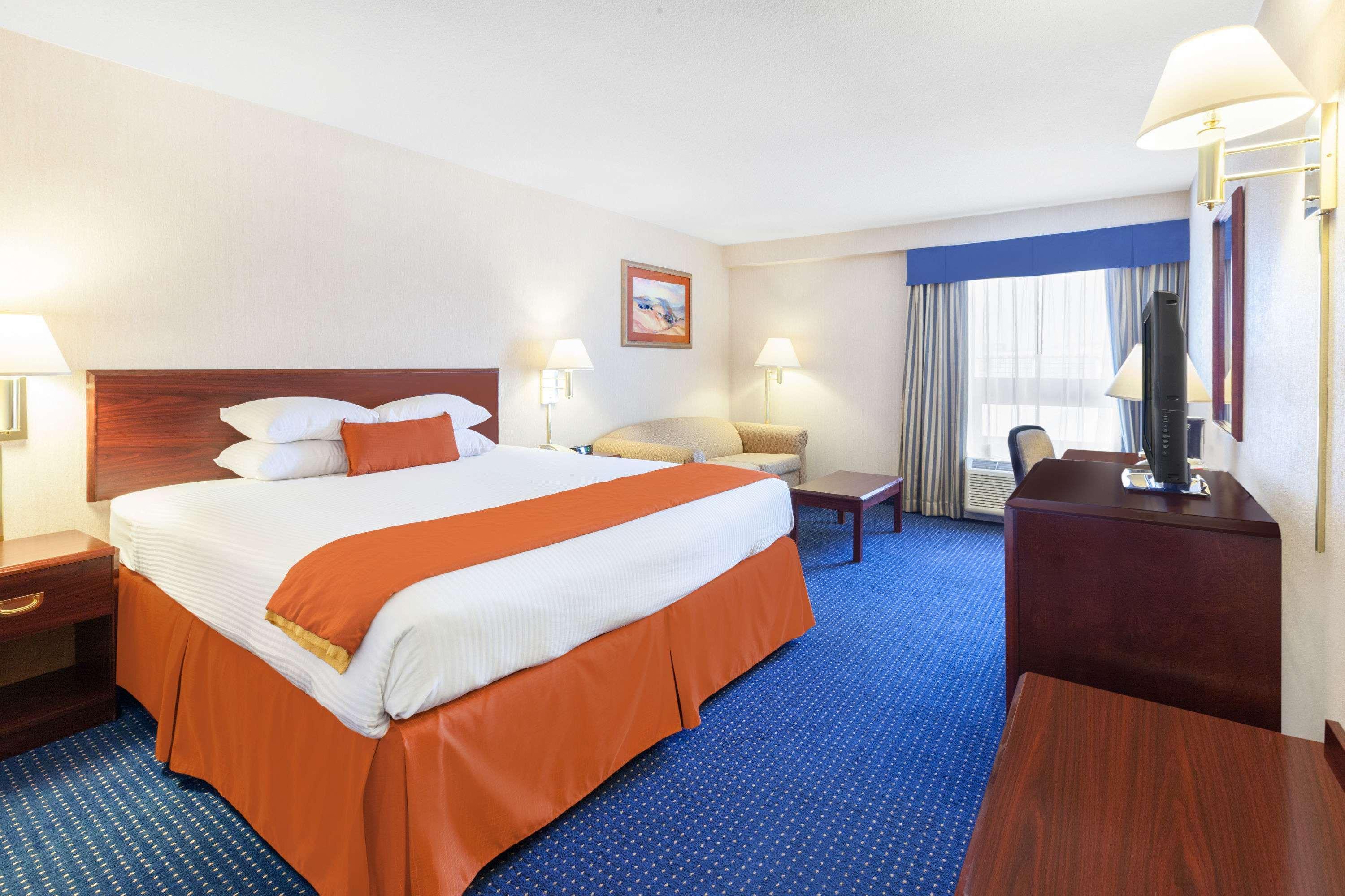 Single King Size Bed