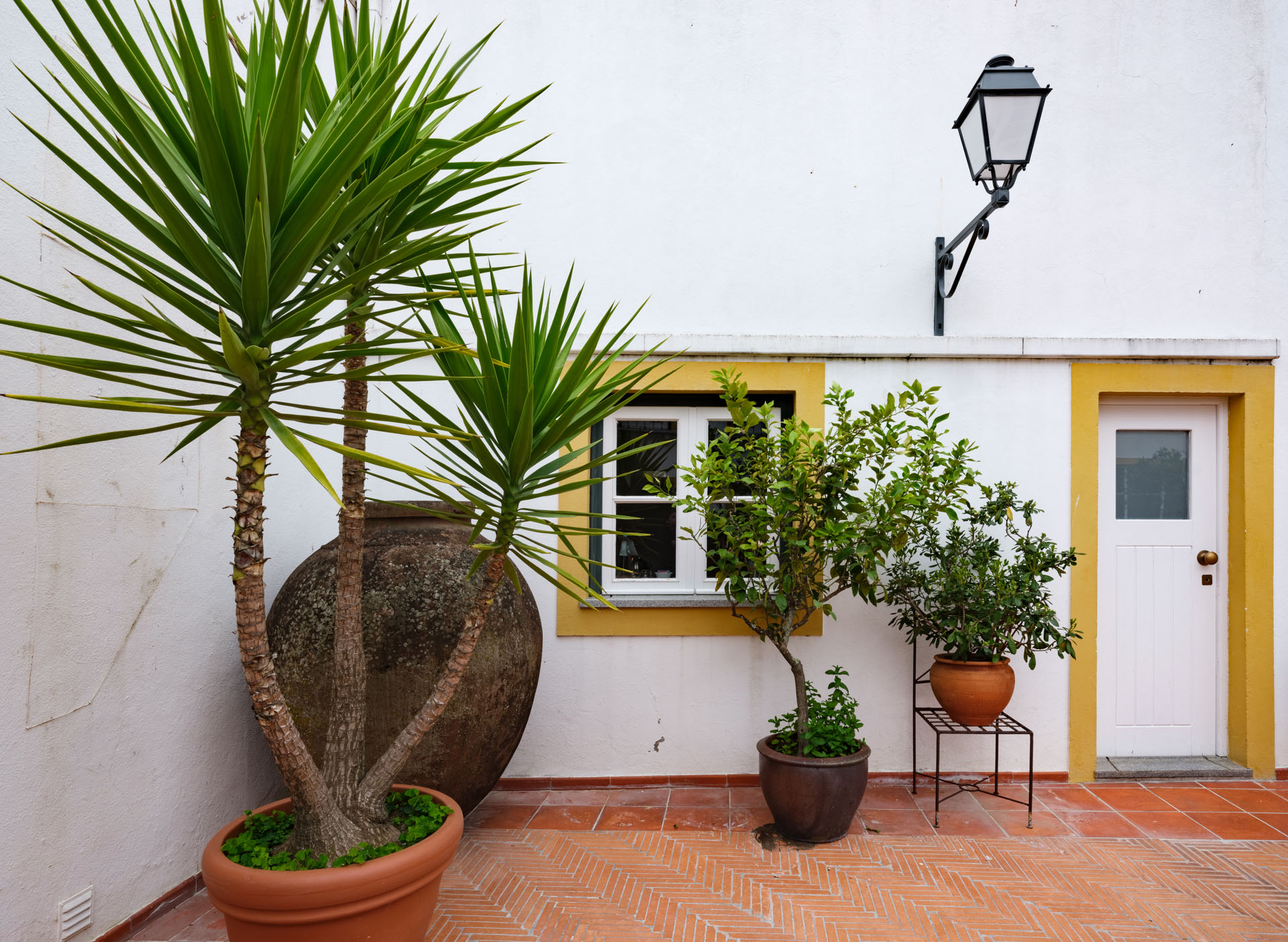 Apartment Superior One Bedroom