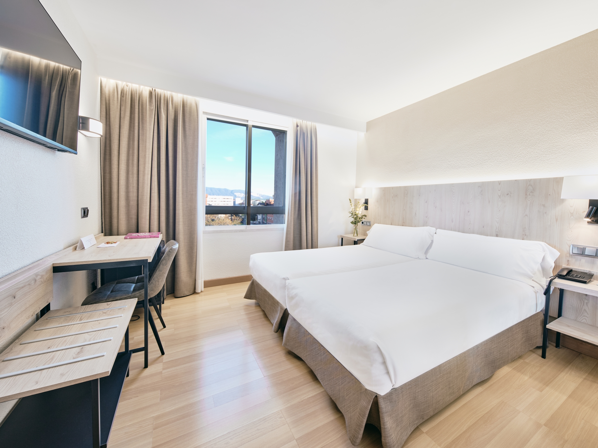 Double or Twin Standard