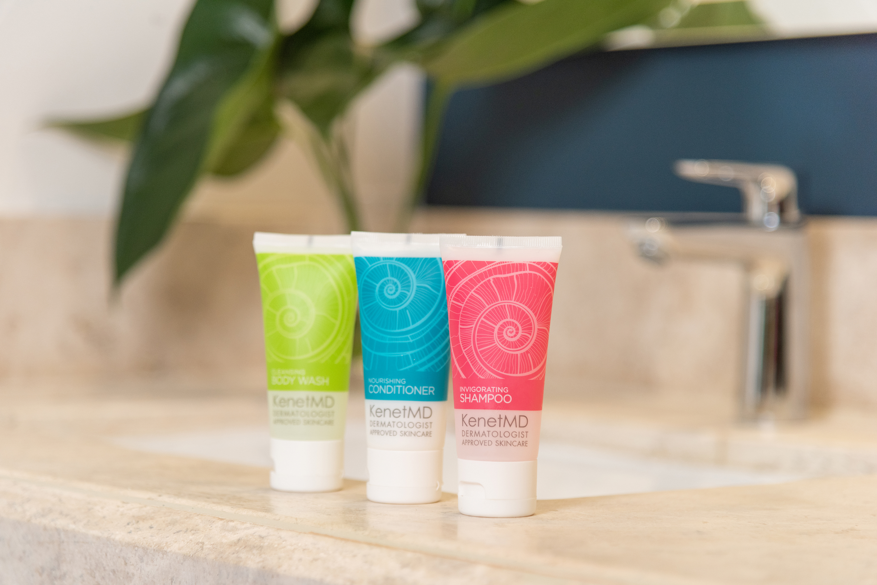 Junior Suite Ocean Front King Bed