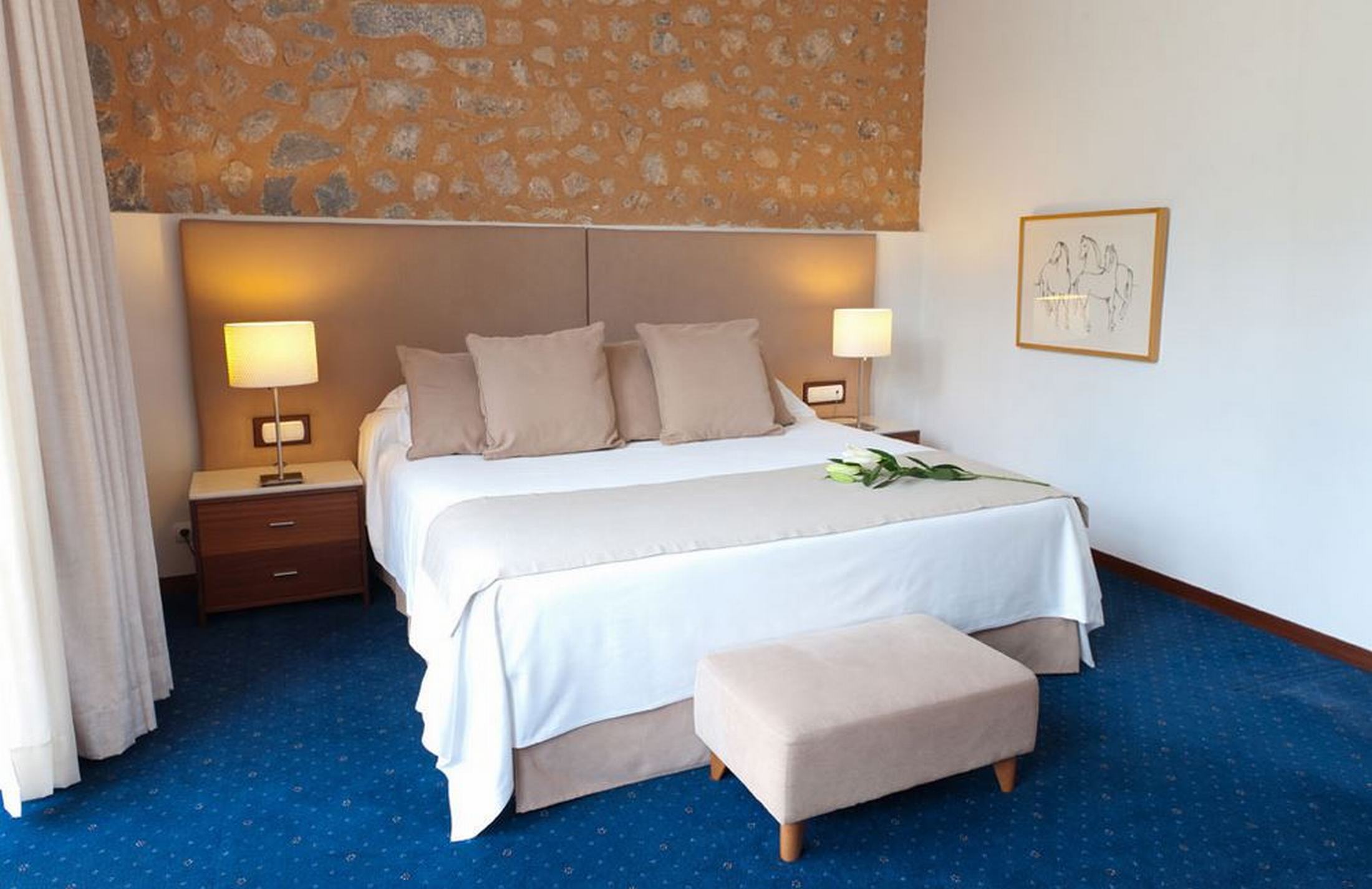 Double or Twin Superior