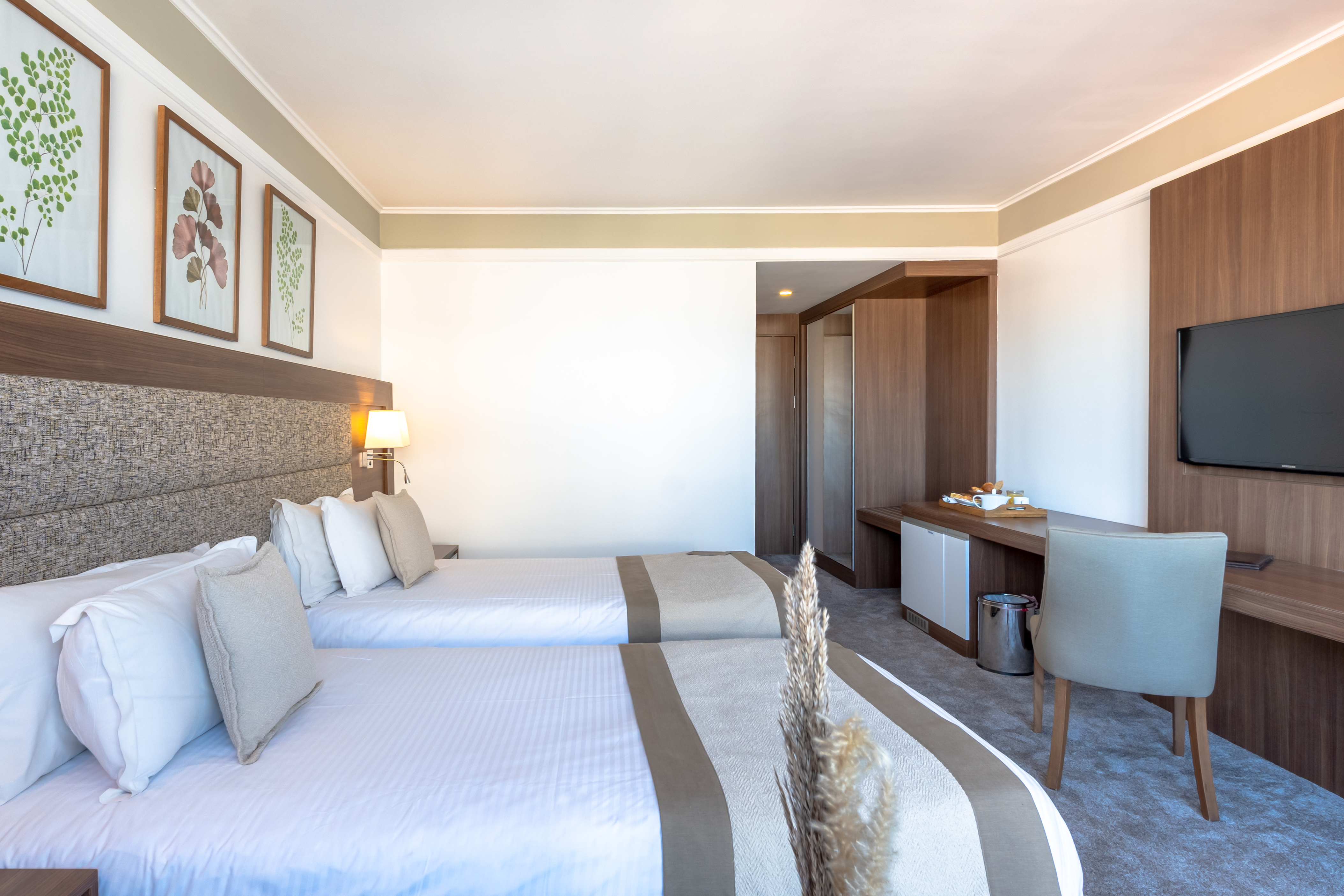 Suite Two Bedrooms One Bathroom