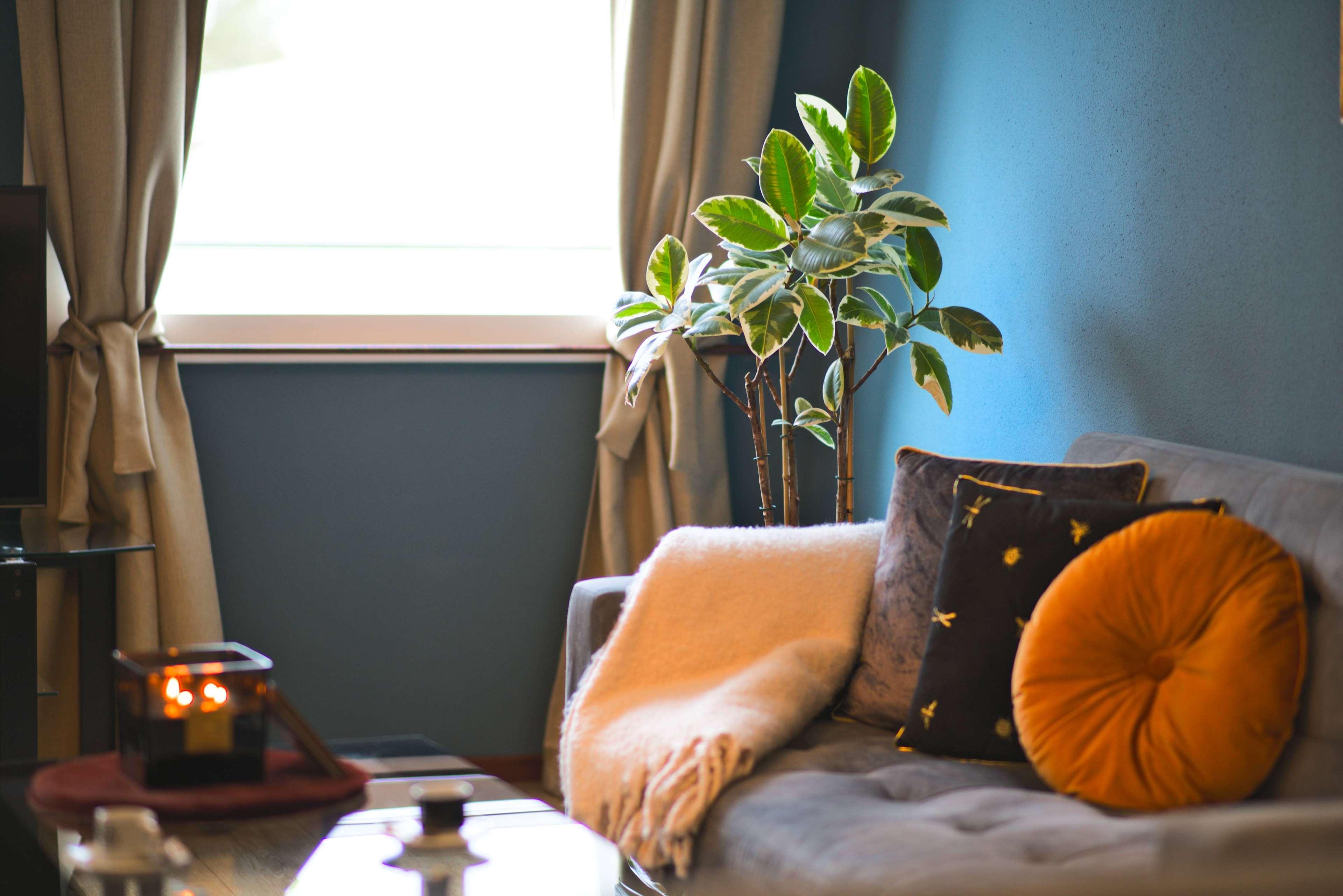 Suite Queen Size Bed