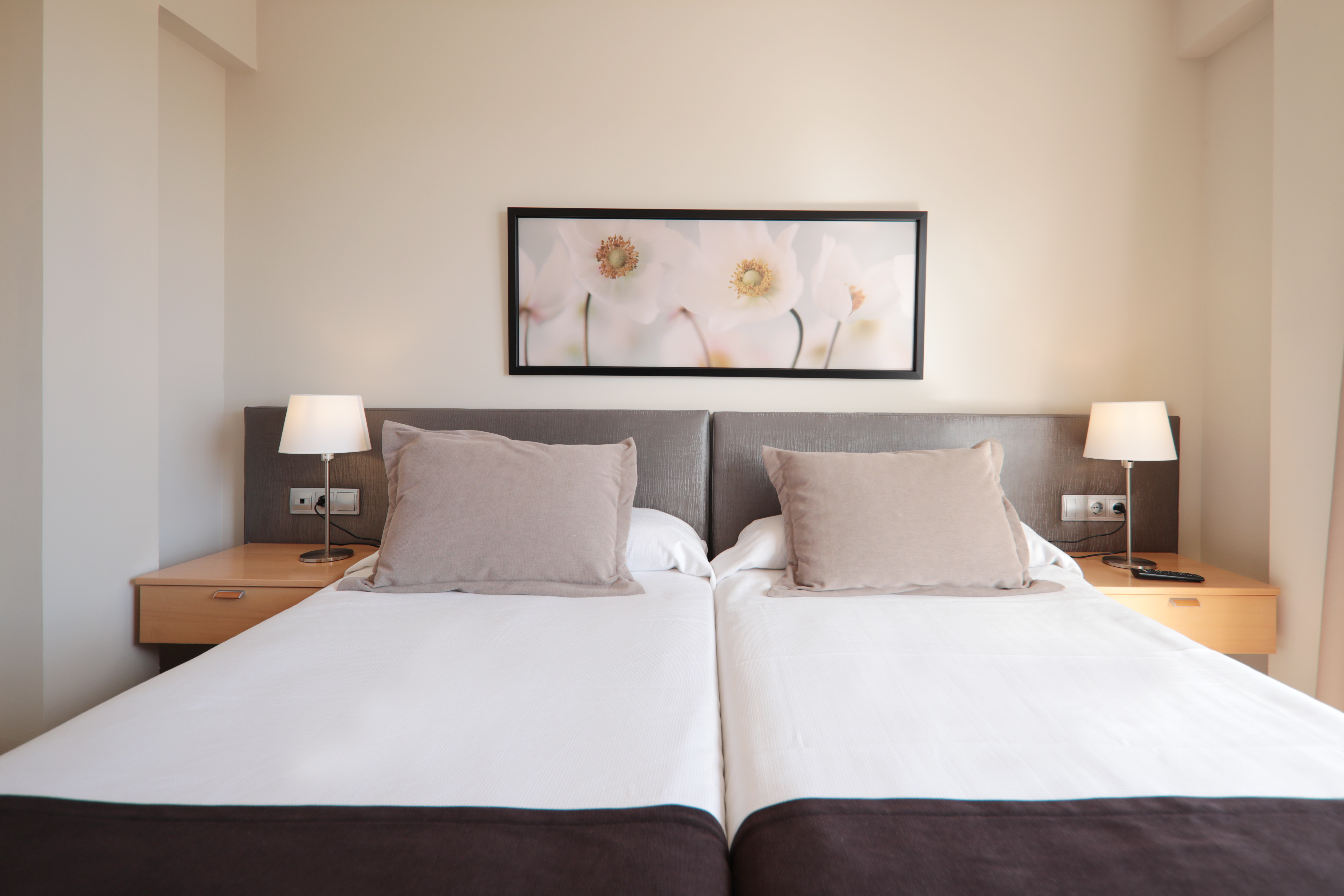 Double or Twin Standard