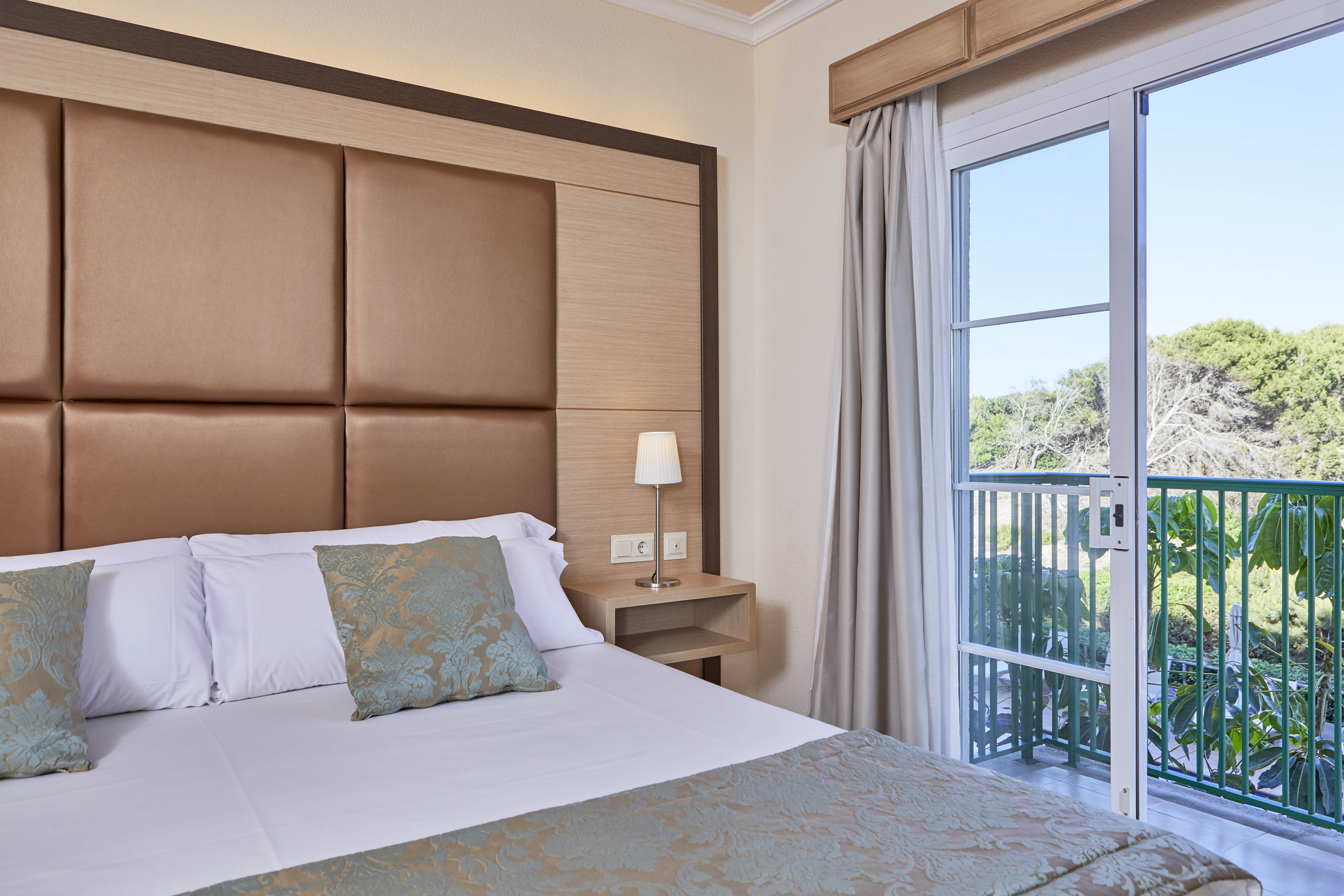 Apartment Premium One Bedroom