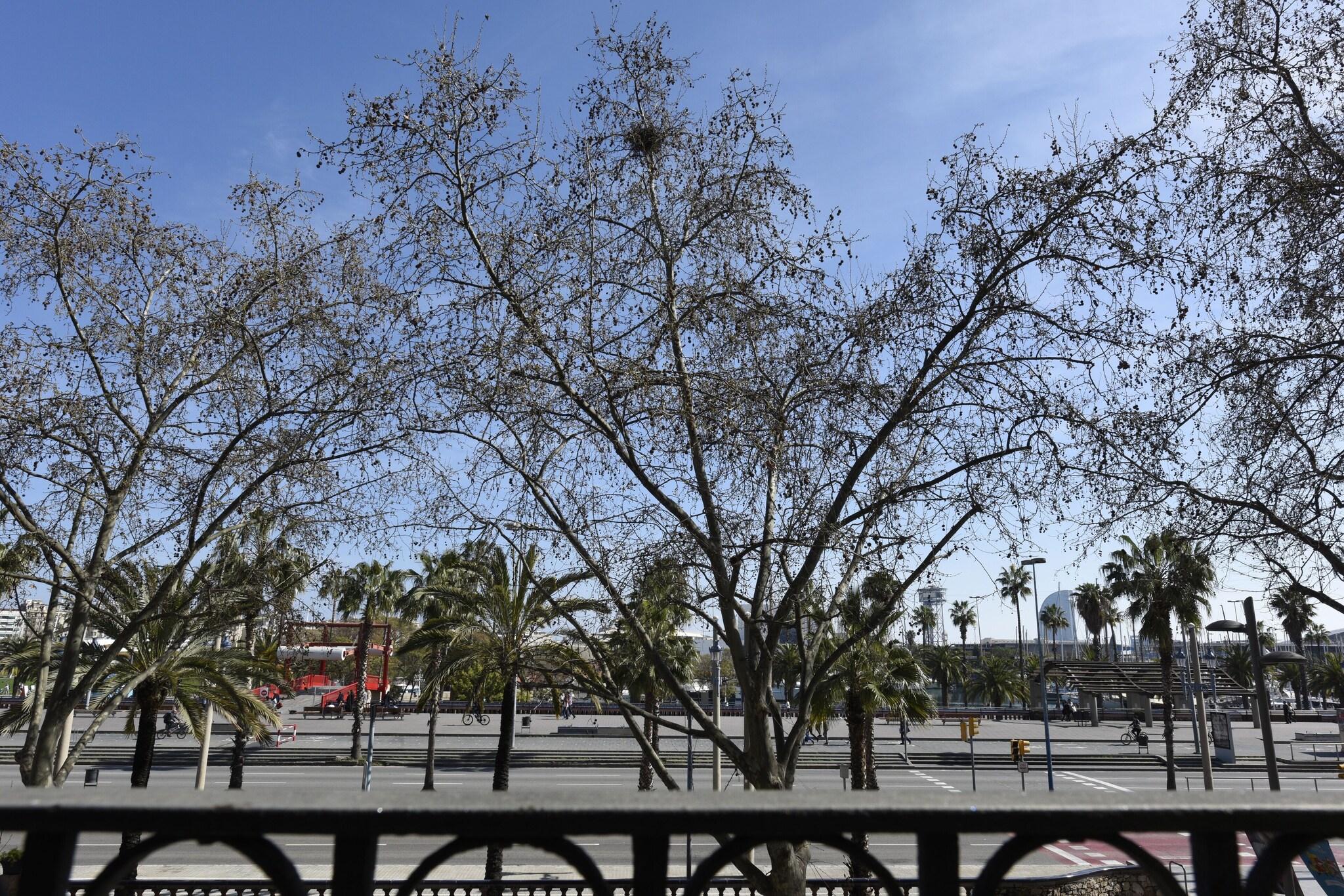Junior Suite with Double Bed