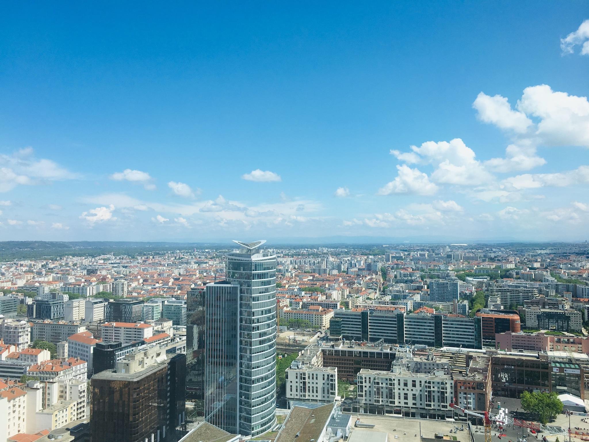 Double City View King Bed