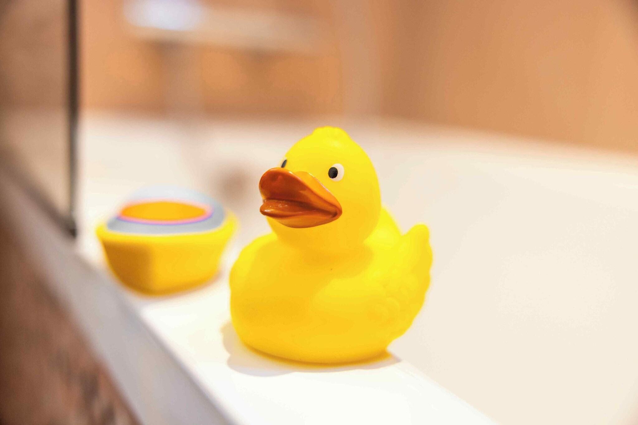 Family Room Queen Size Bed