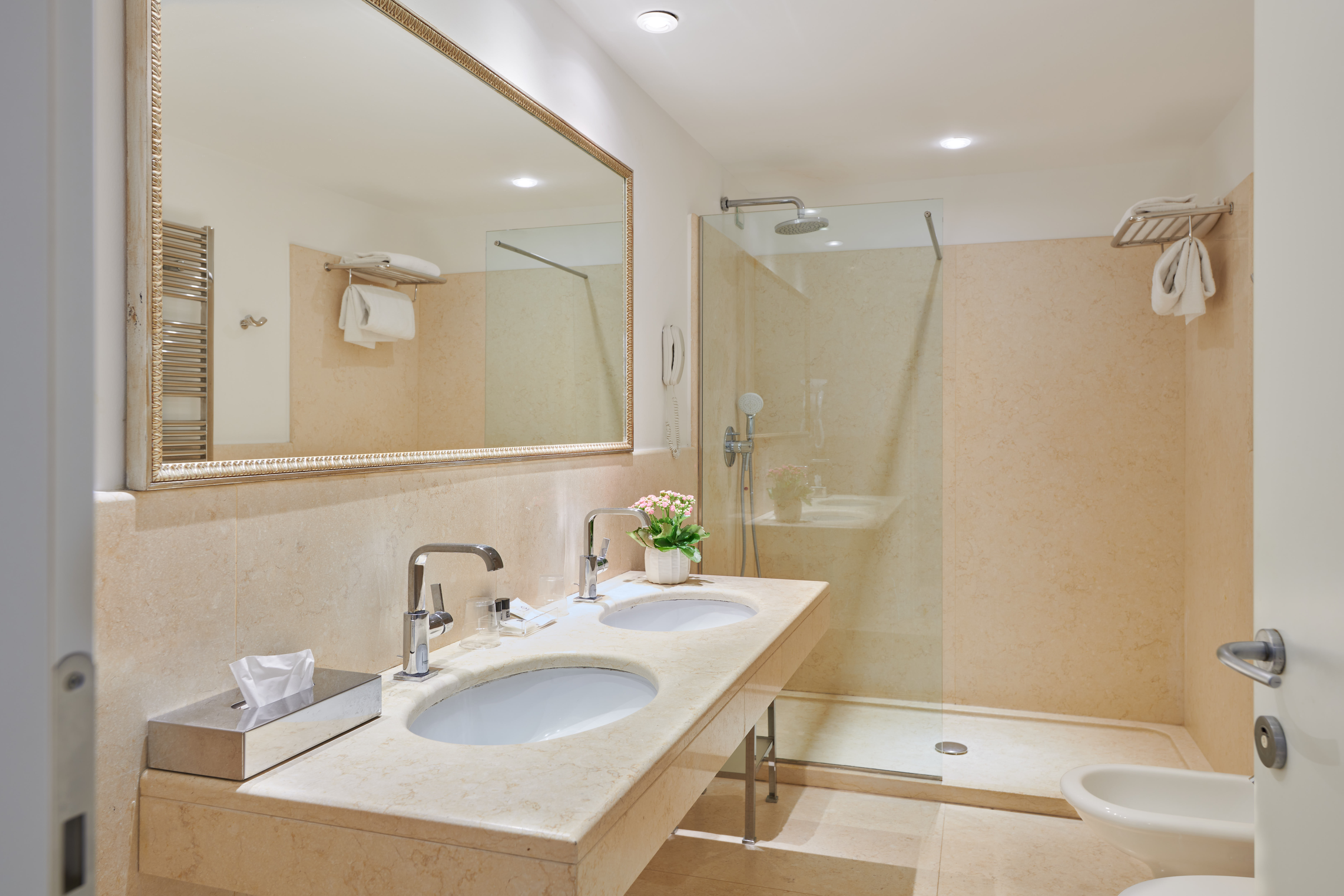 Double or Twin Superior