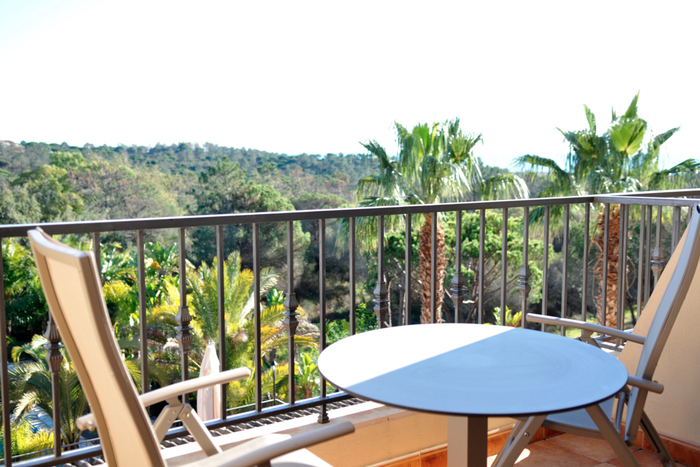 Family Room Garden View