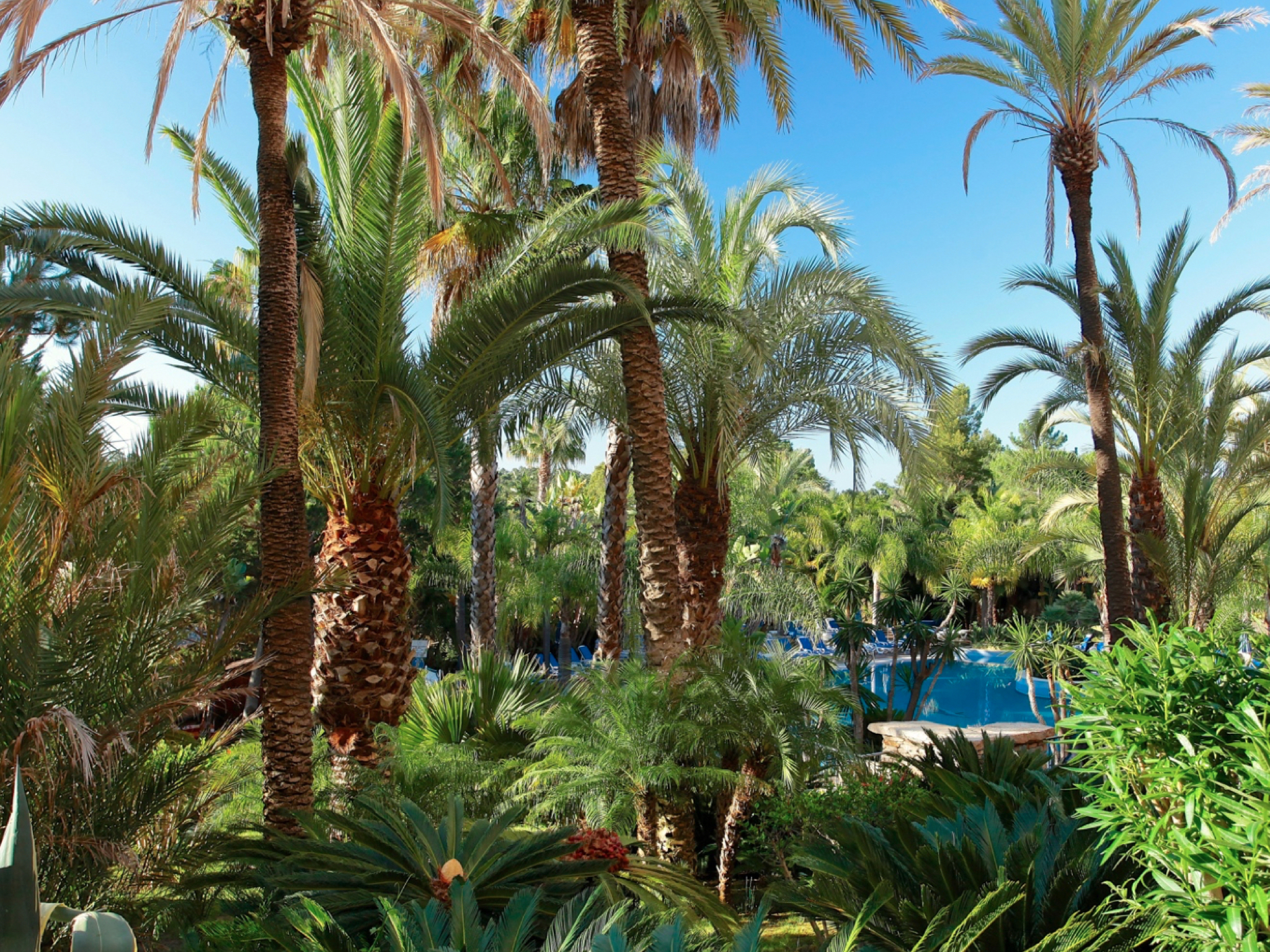 Double or Twin Garden View