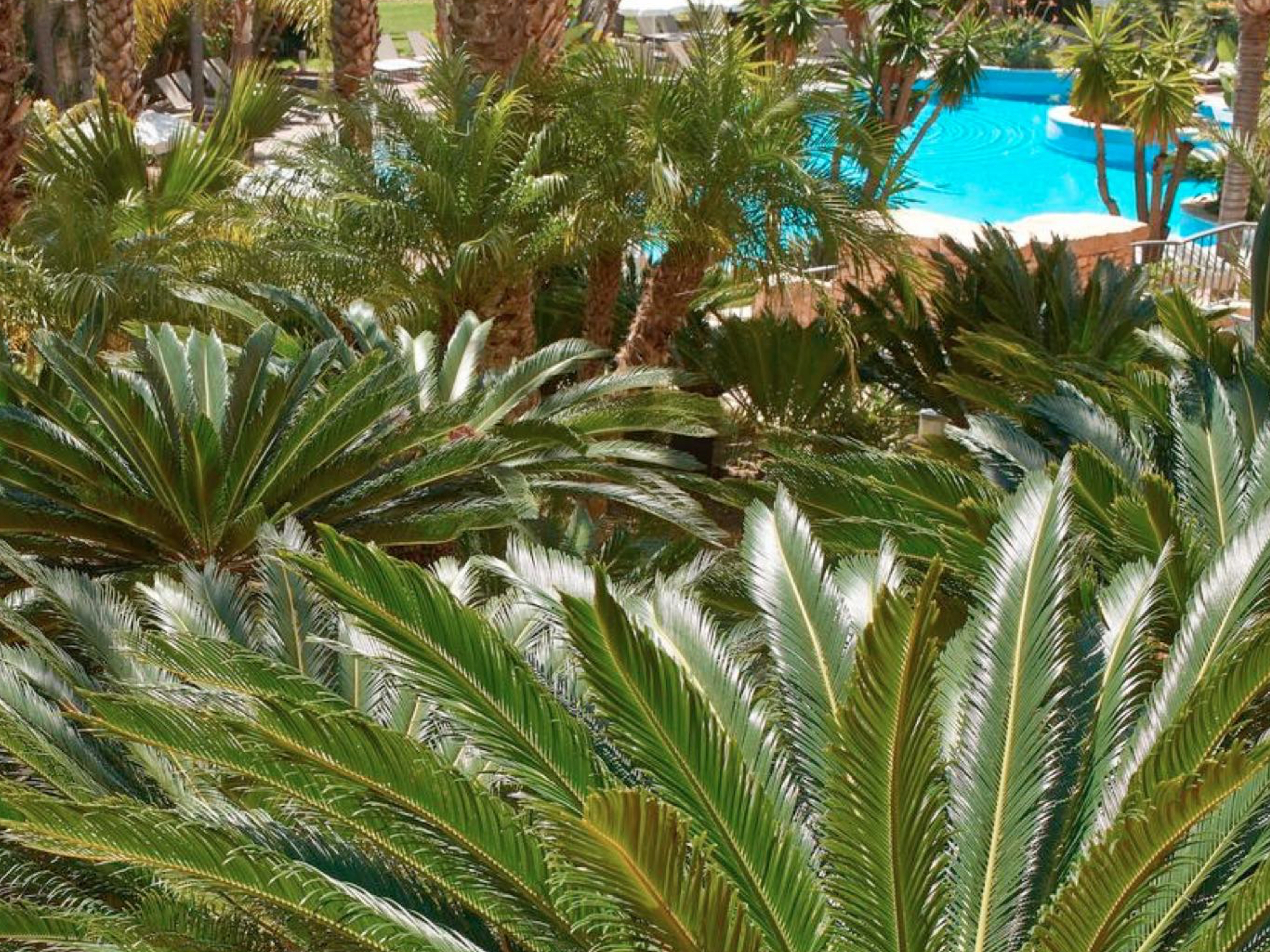 Family Room Garden View