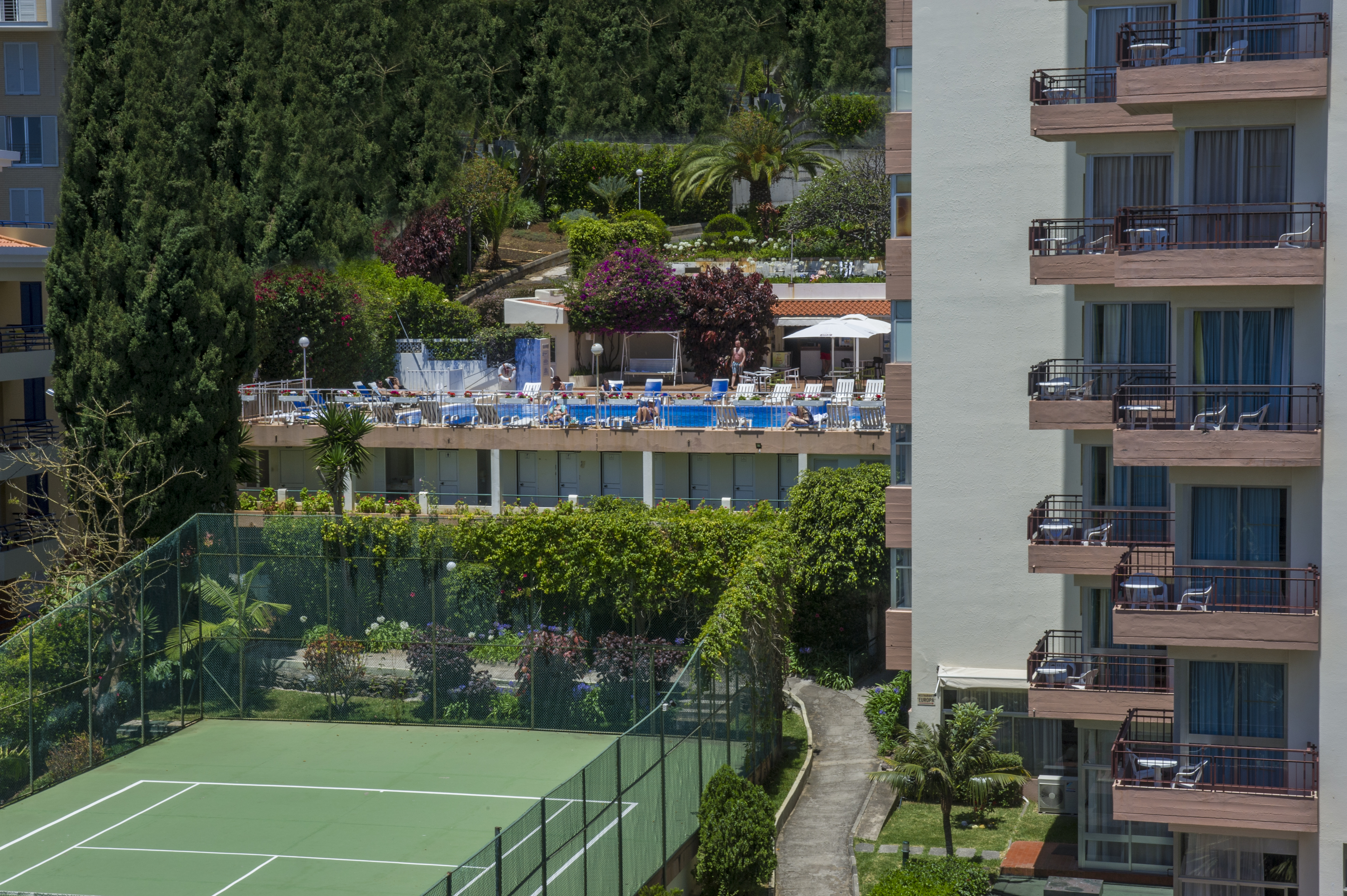 Sports and Entertainment