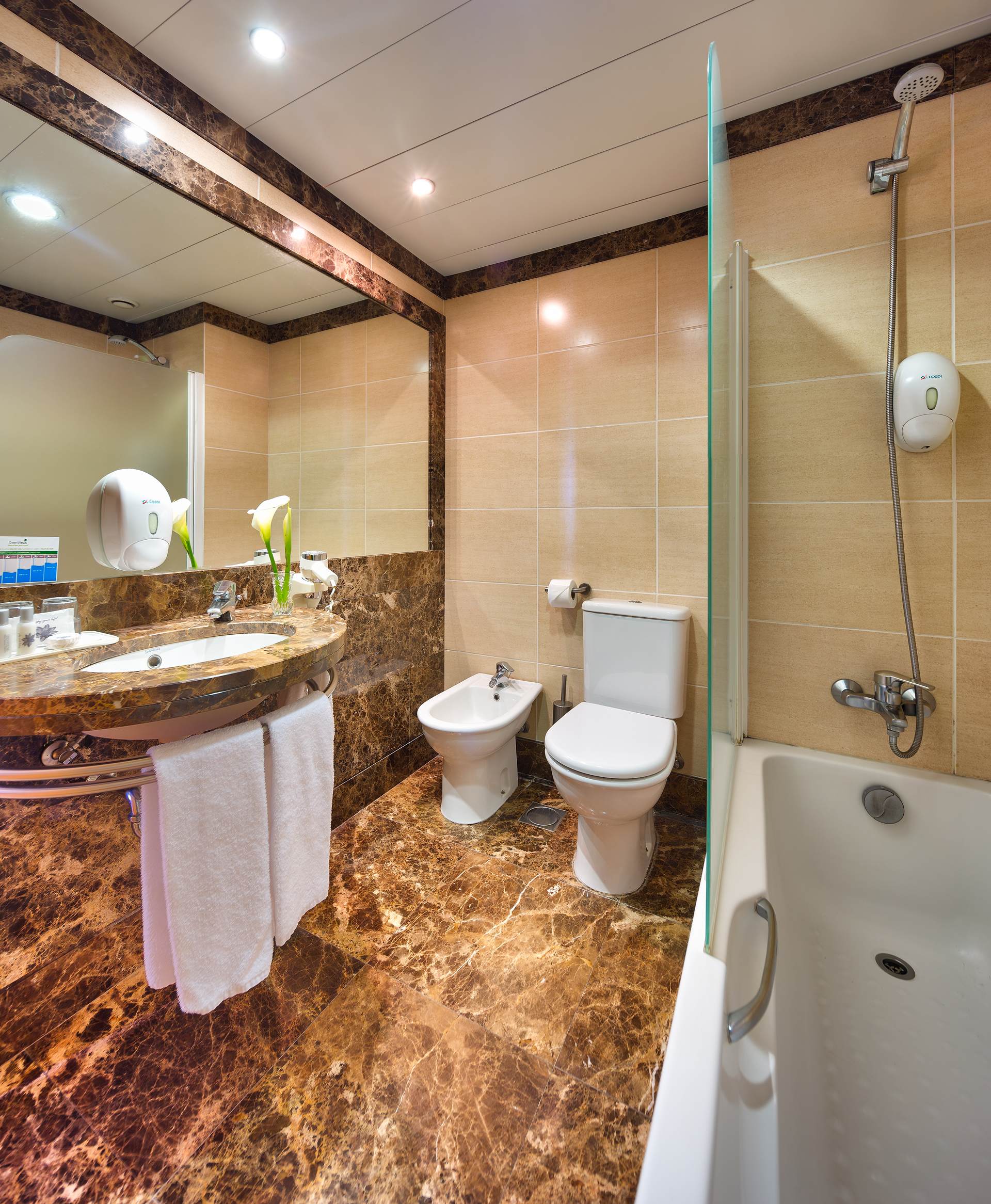 Studio Mountain View