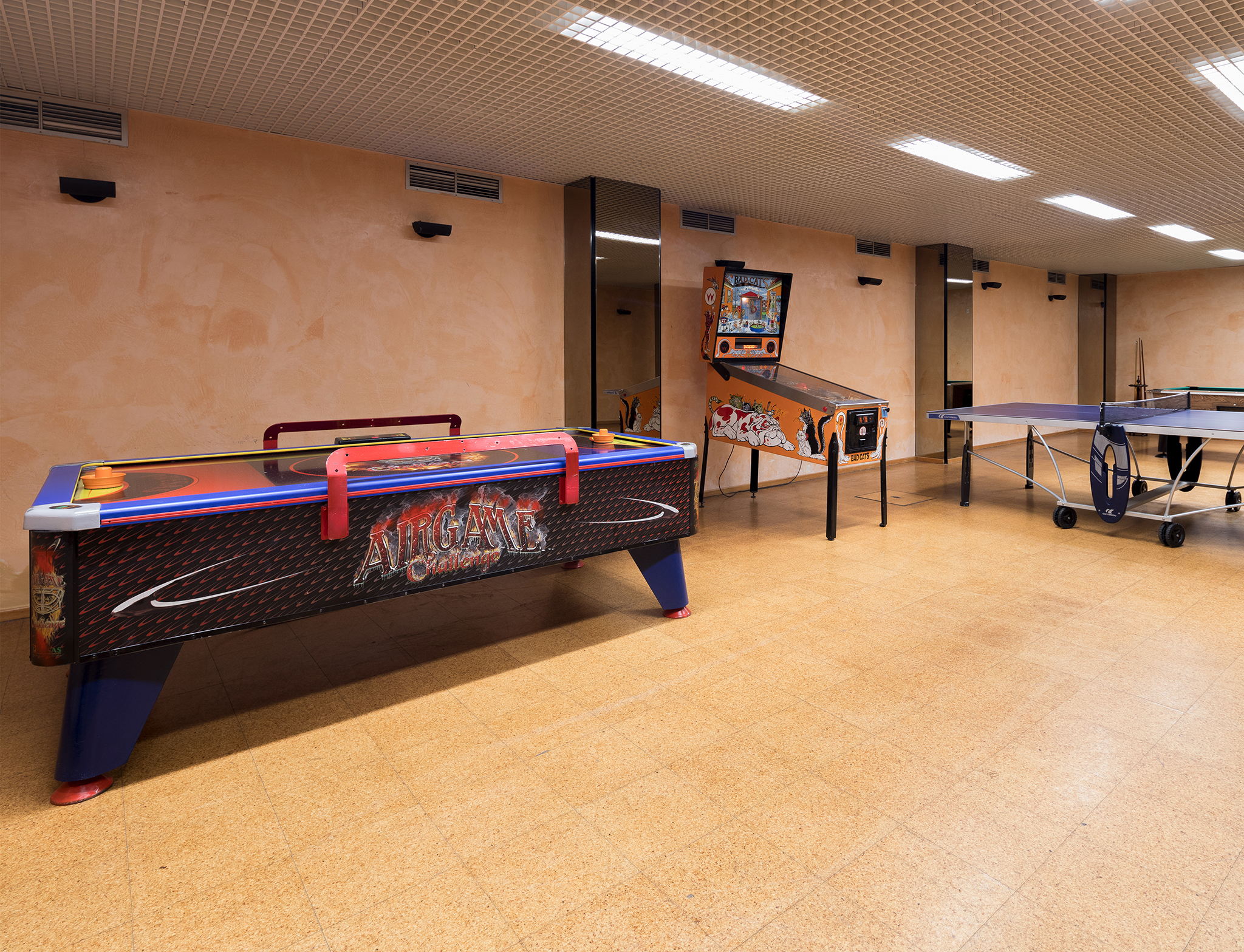 Sports and Entertainment