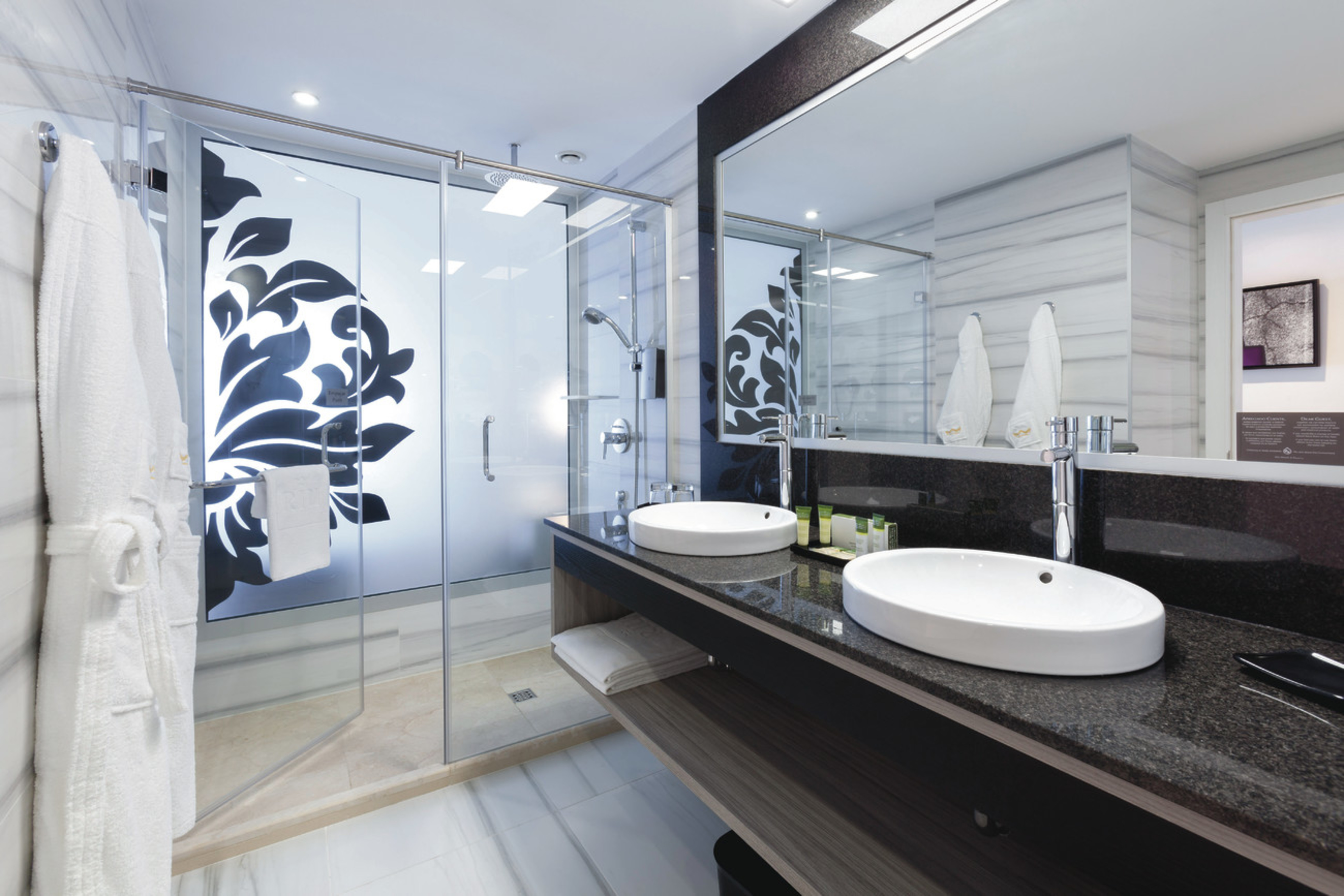 Double or Twin with Balcony