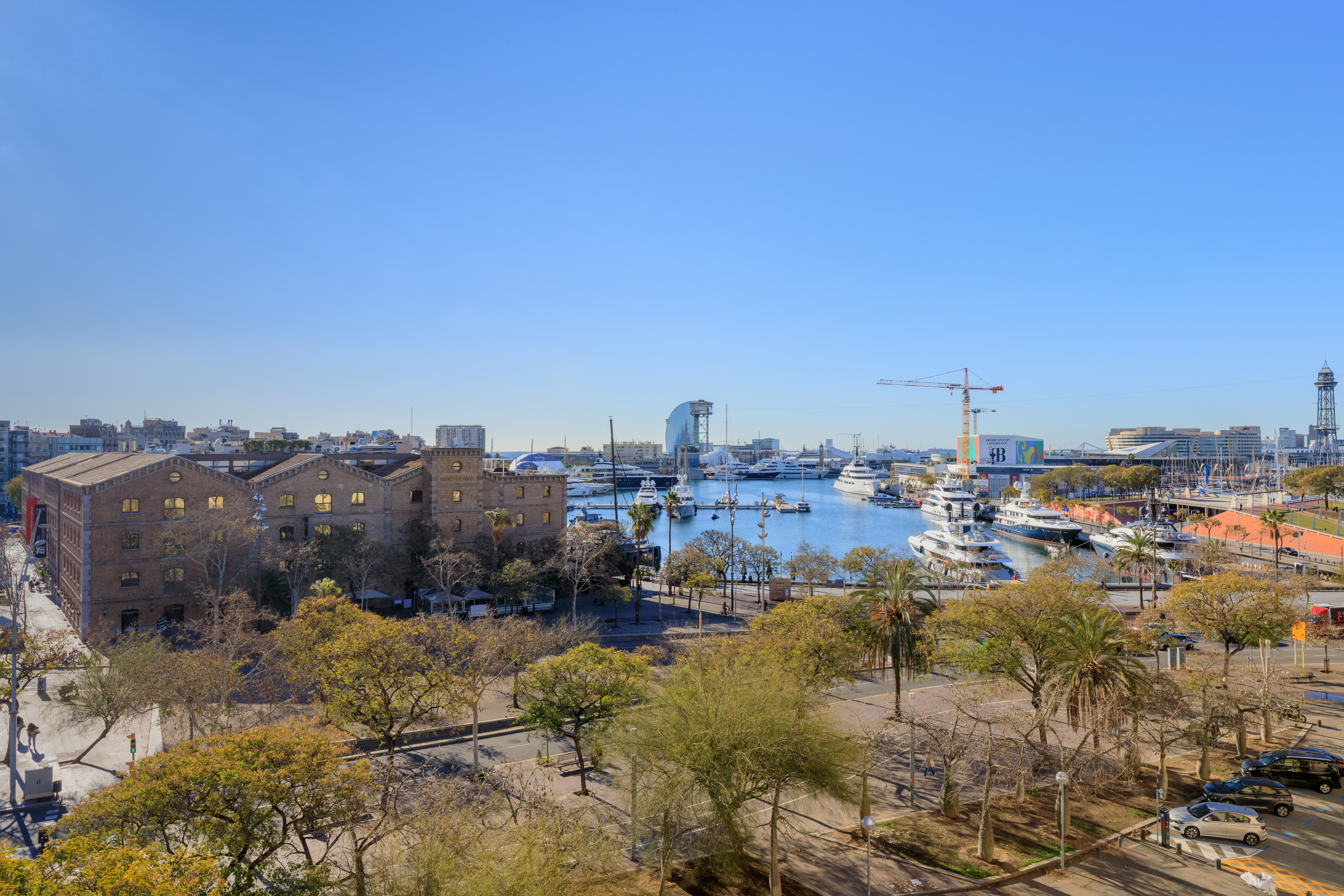 Double or Twin with Terrace