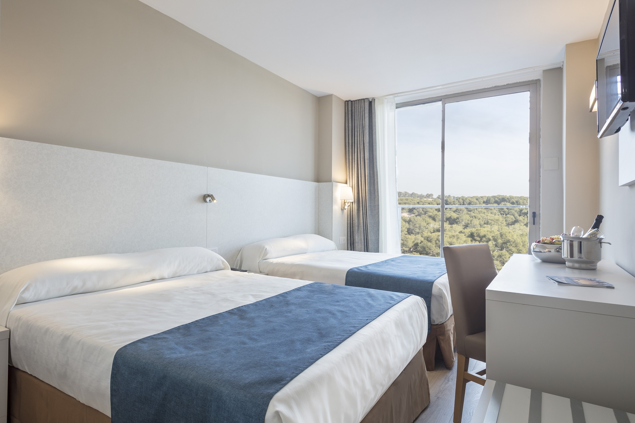 Double or Twin Capacity 3