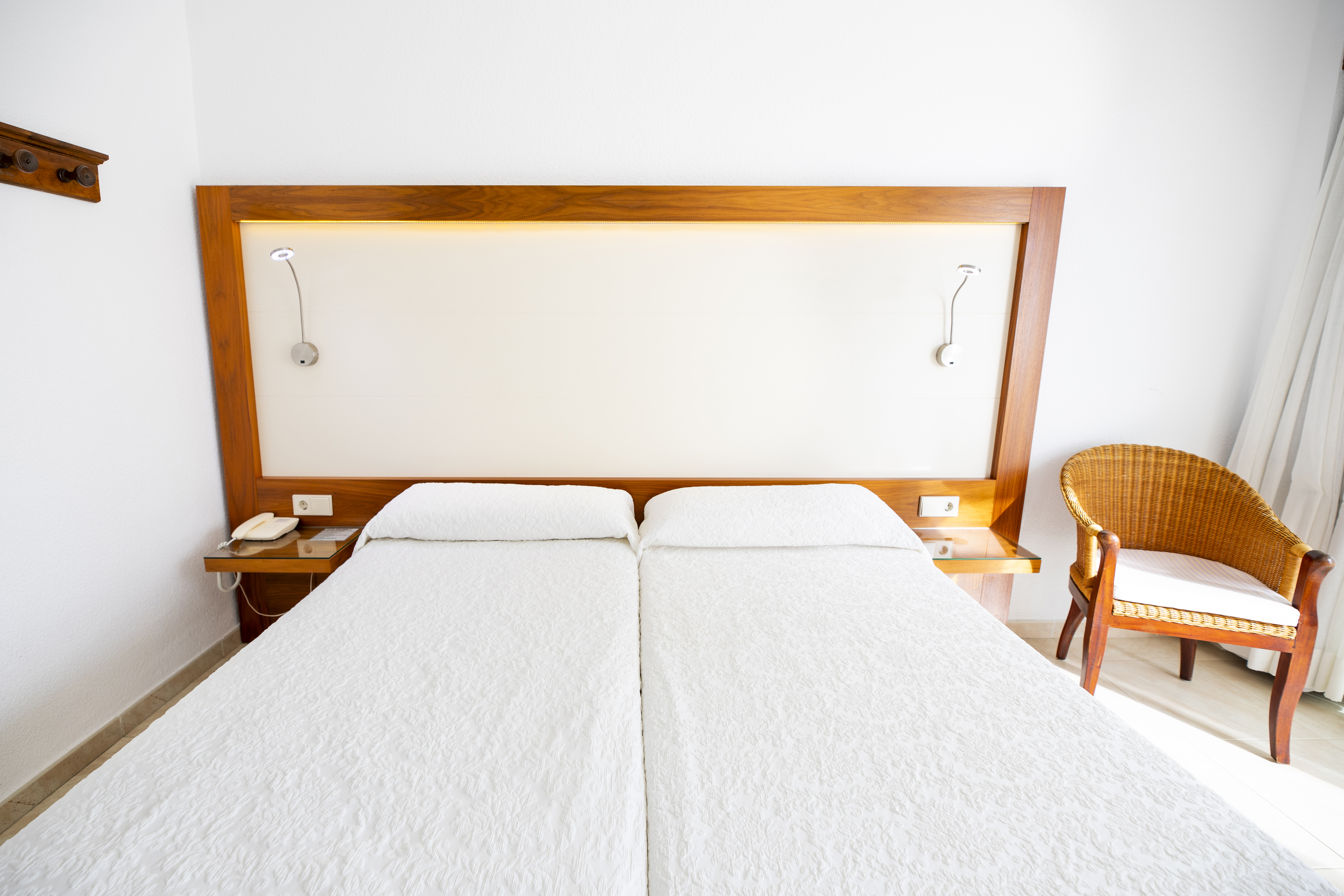 Double or Twin Economy