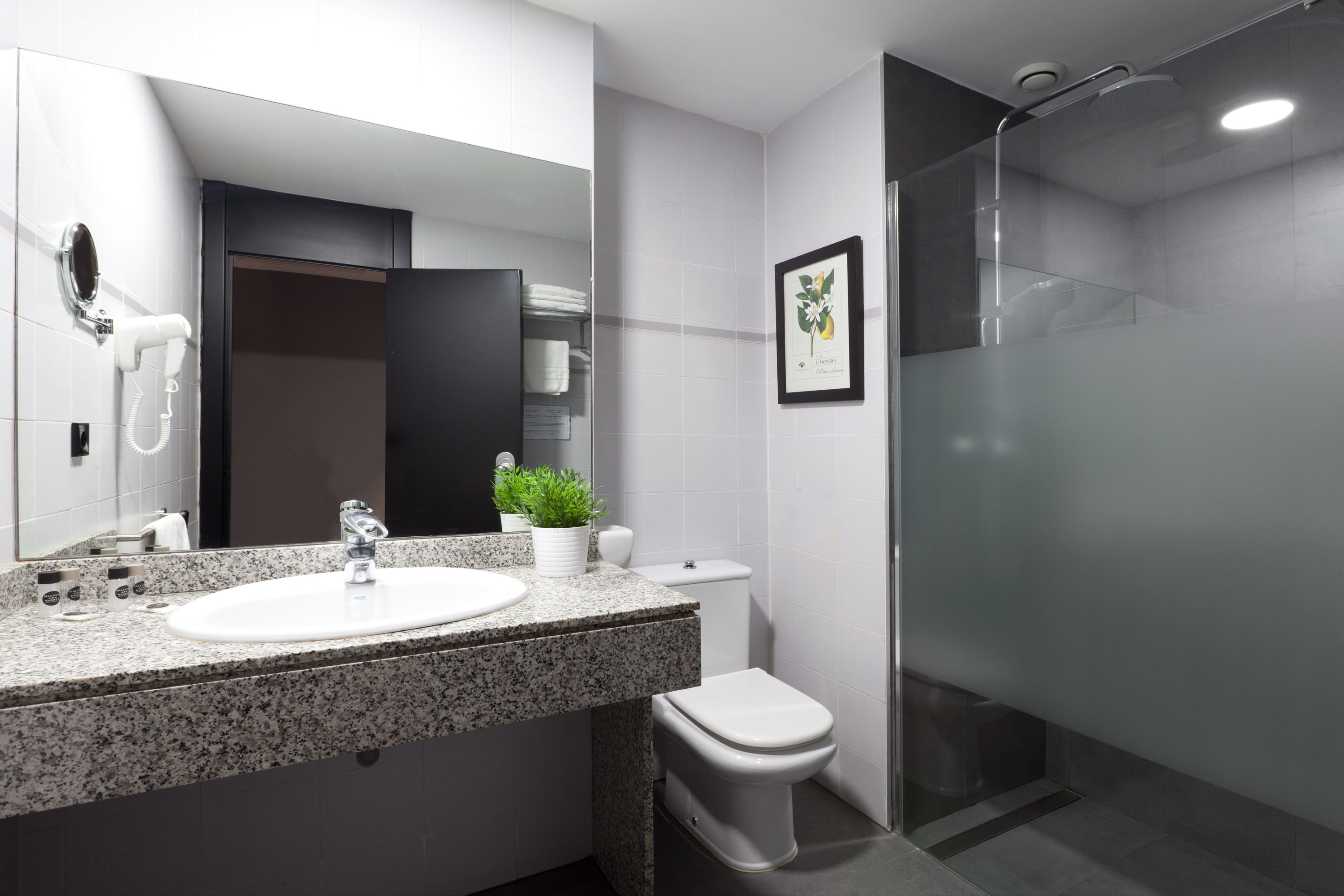 Double or Twin Capacity 2