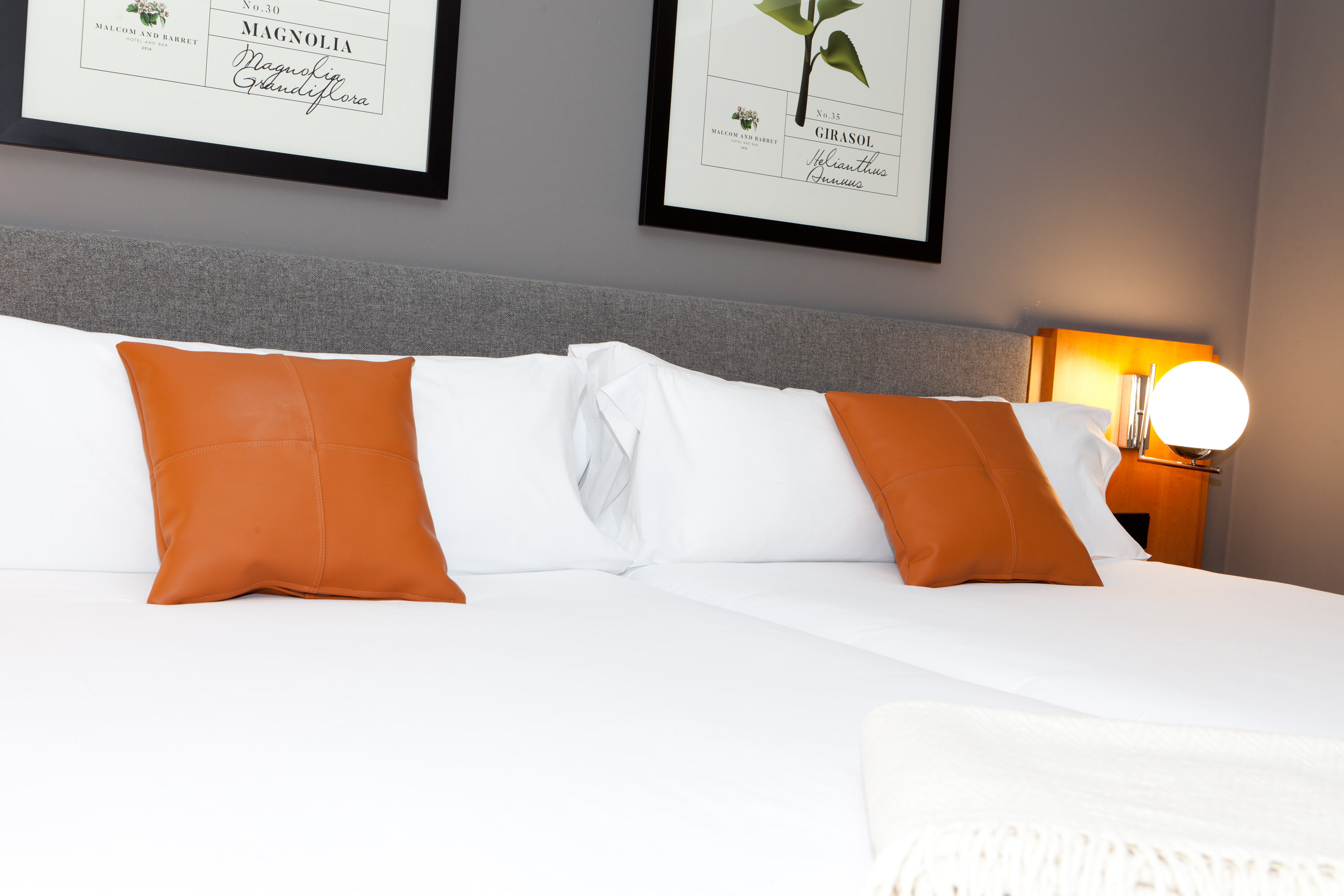 Double or Twin Capacity 2