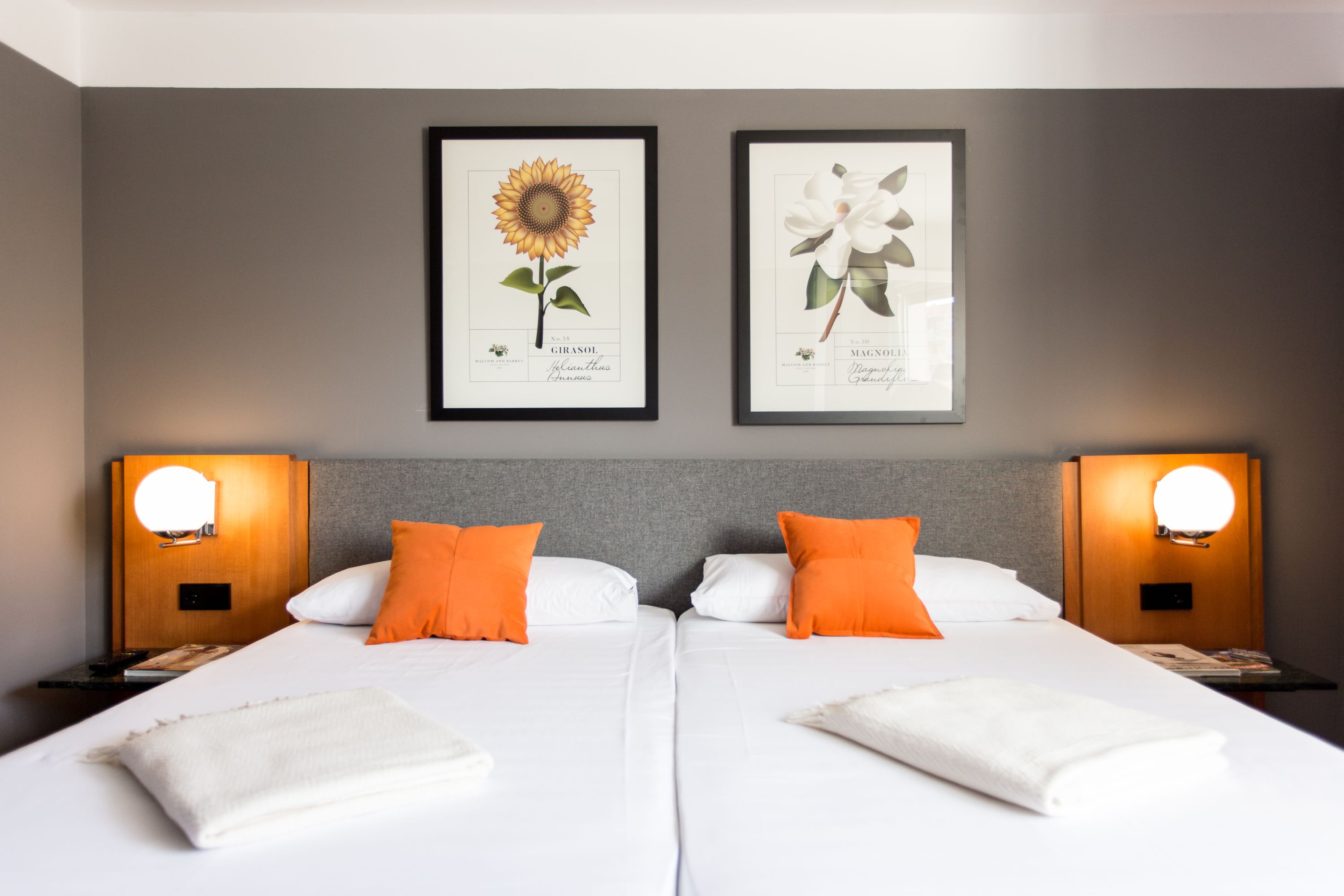 Double or Twin Capacity 2